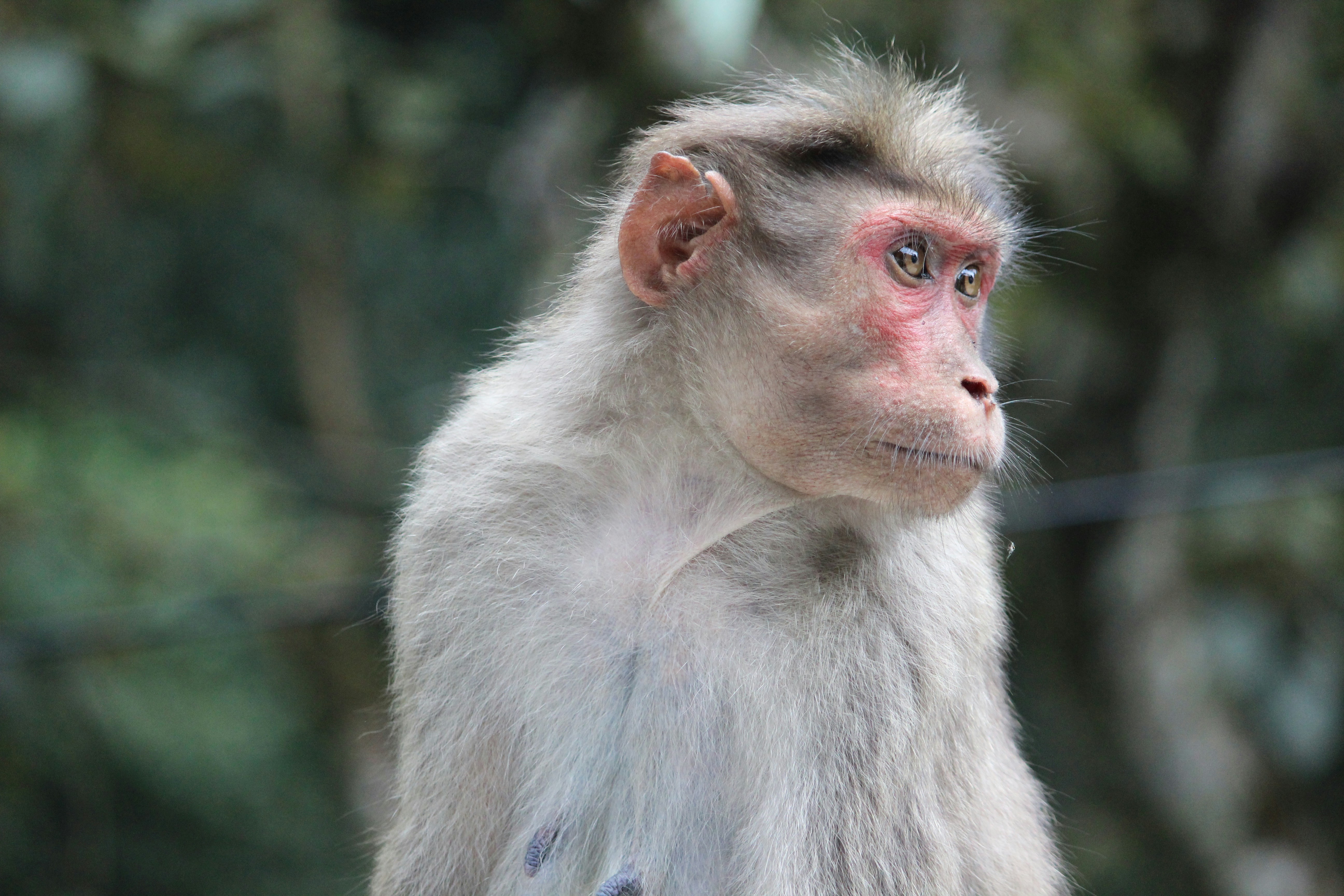 Photo by rupendra5858