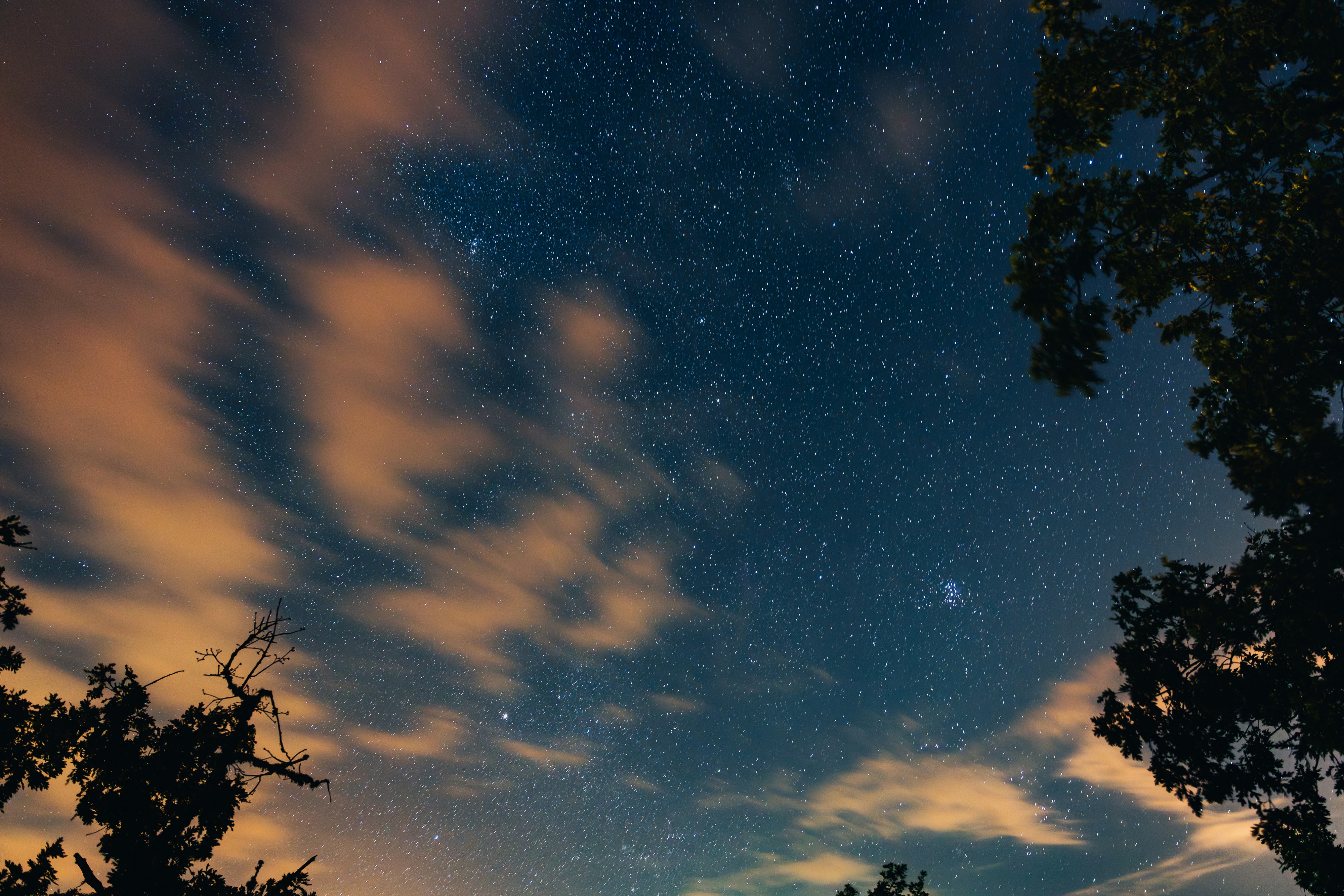 Photo by tiago_f_ferreira