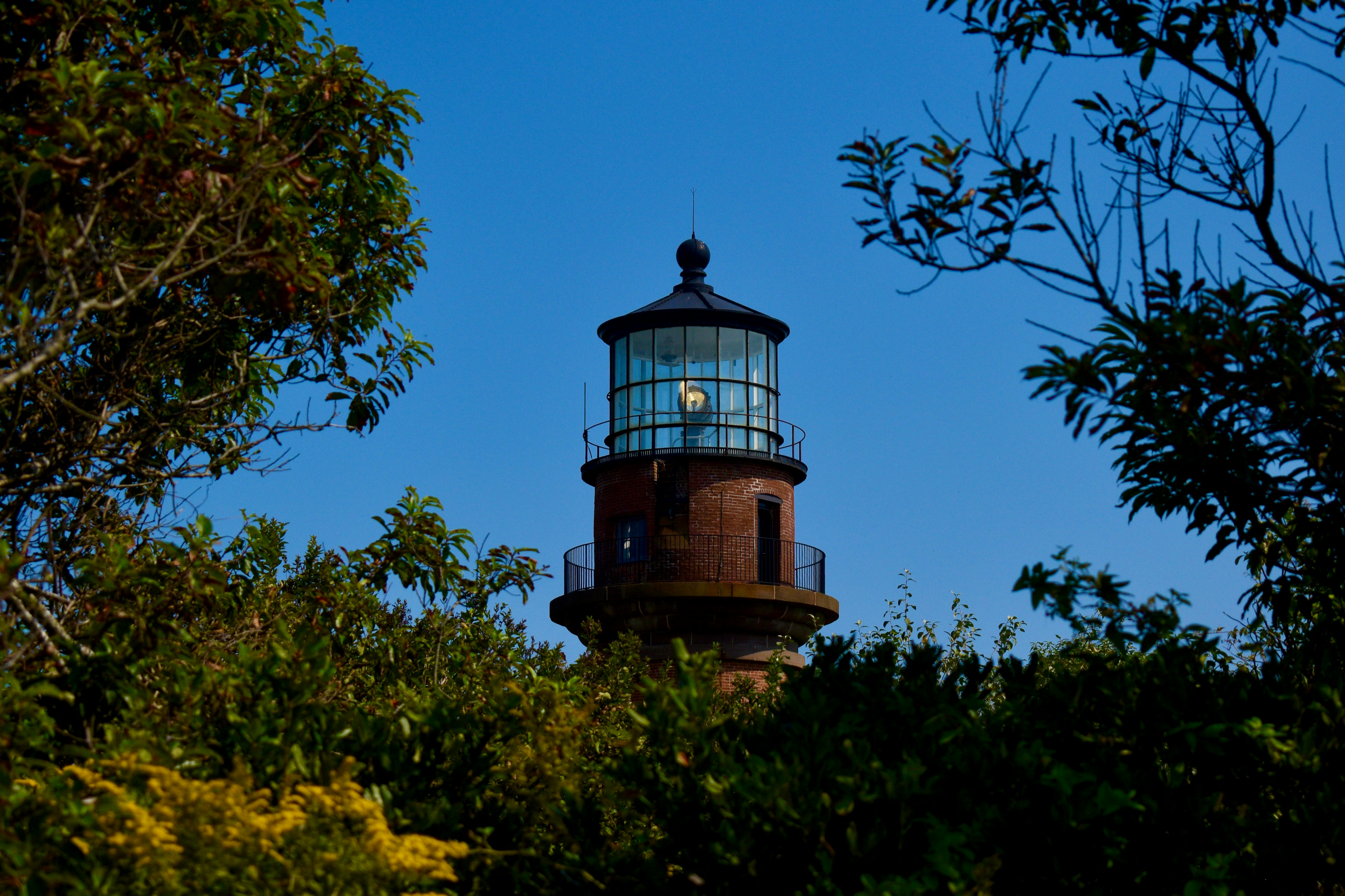 Photo by kellybrookme