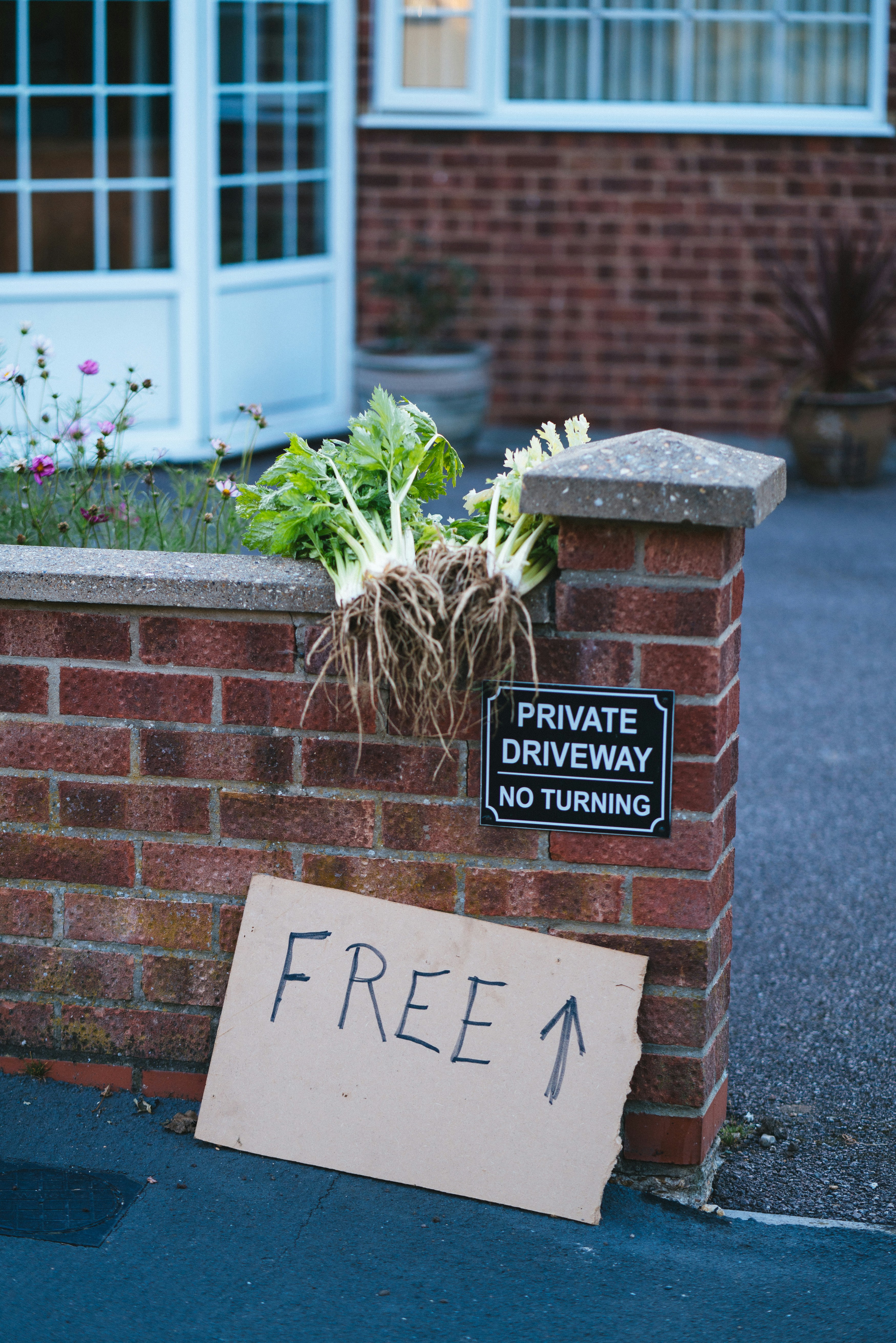 A brick wall with a free sign on it