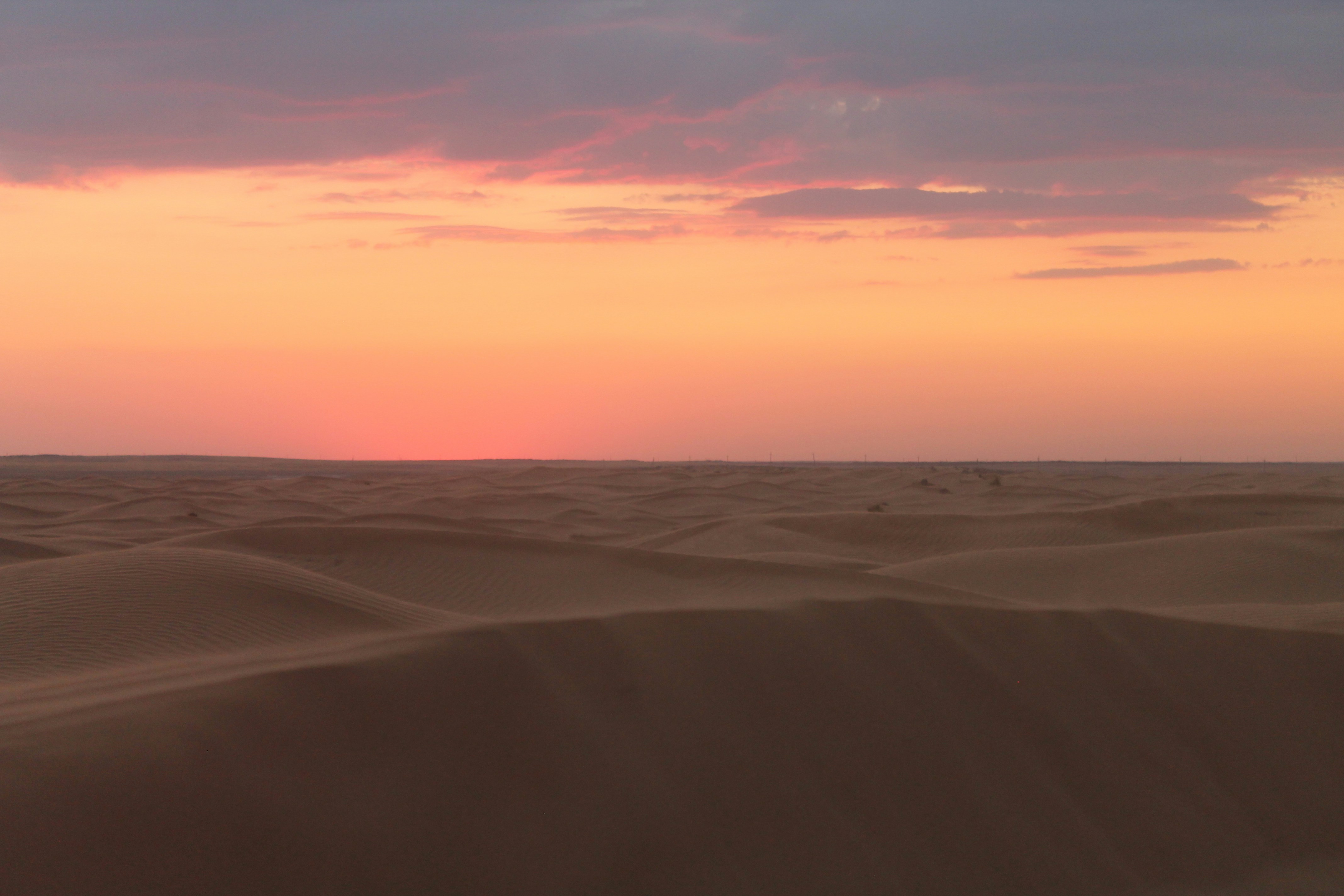 Golden sand dunes of the Sahara Desert stretching to horizon under deep blue sky at dusk