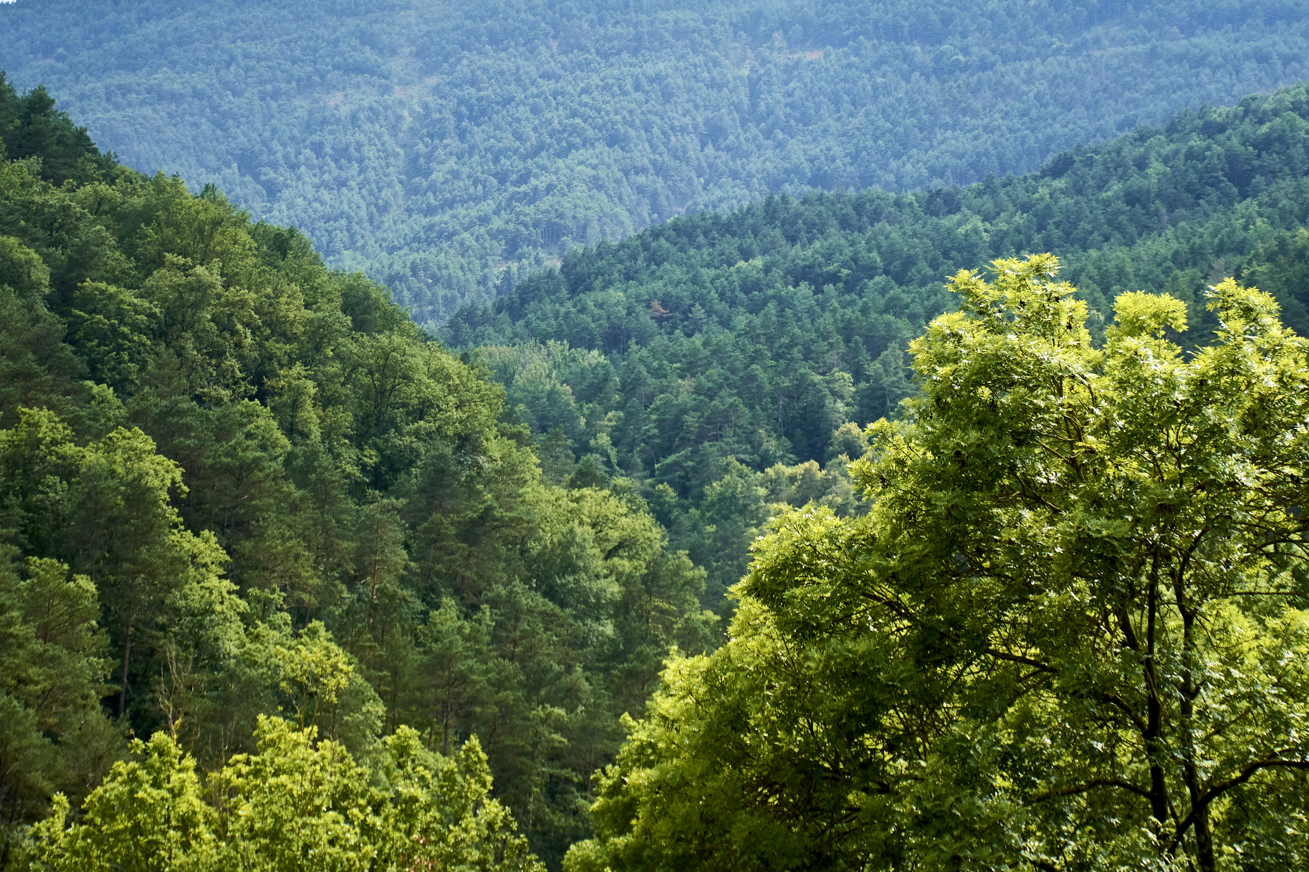 photo-1726832927001-3080c94930a3?ixid=M3wxMjA3fDB8MXxzZWFyY2h8MjB8fG5vcnRoJTIwY2Fyb2xpbmElMjBzZWNyZXRhcnklMjBvZiUyMHN0YXRlJTIwYW5udWFsJTIwcmVwb3J0fGVufDB8fHx8MTc0NTIxNTk3M3ww\u0026ixlib=rb-4.0.3