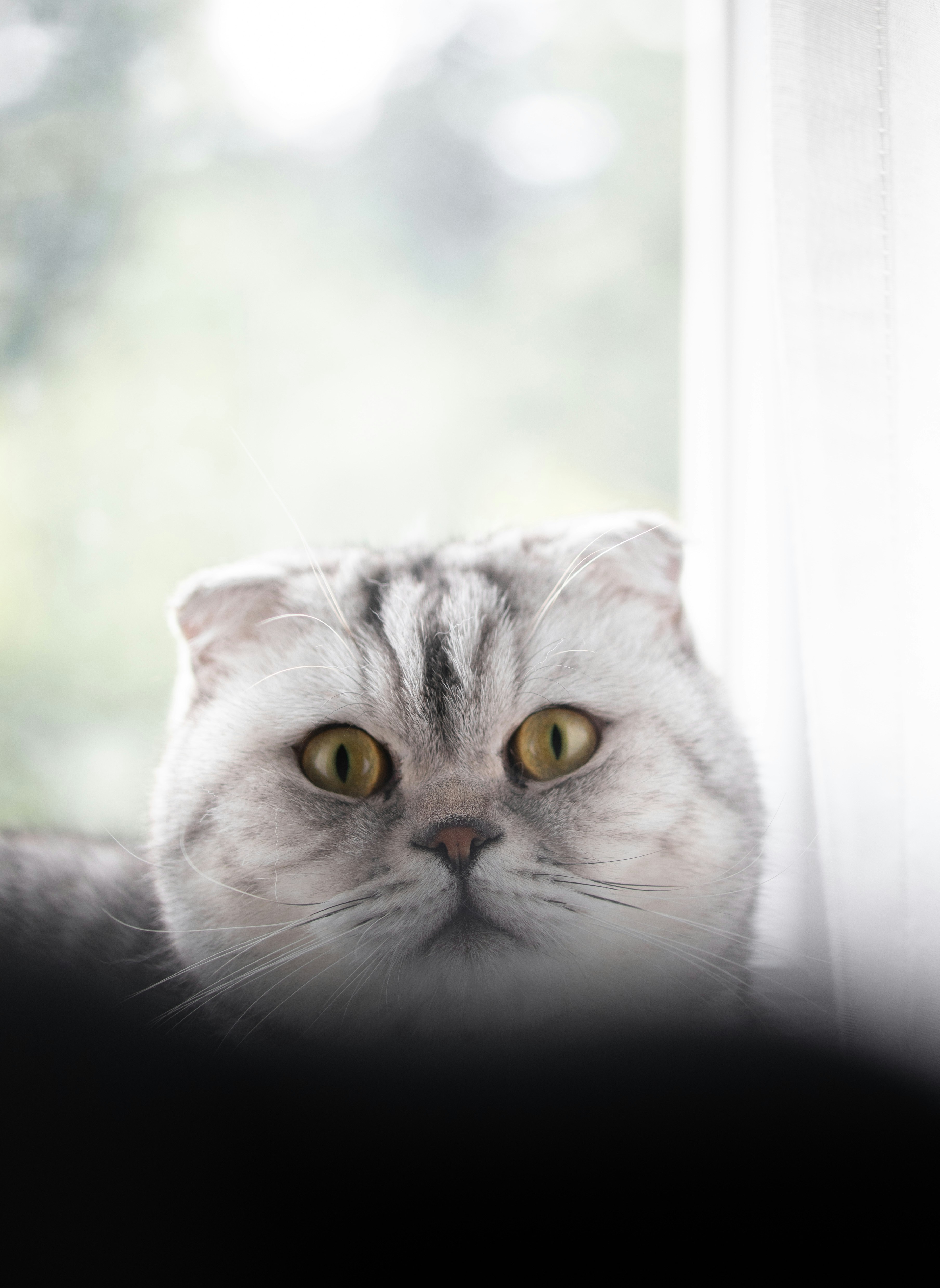 Photo by user_yuliia