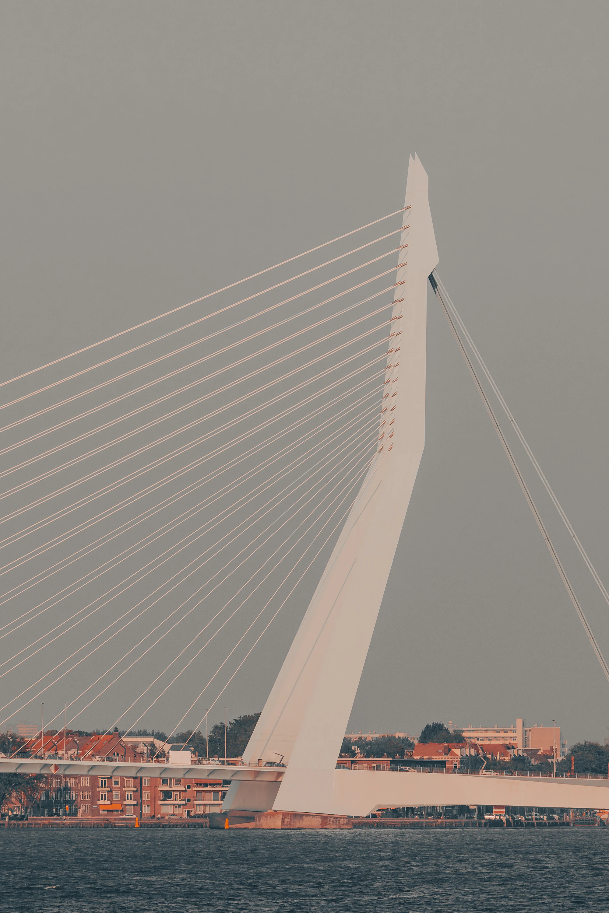 Erasmus Bridge pylon over the Nieuwe Maas, Rotterdam