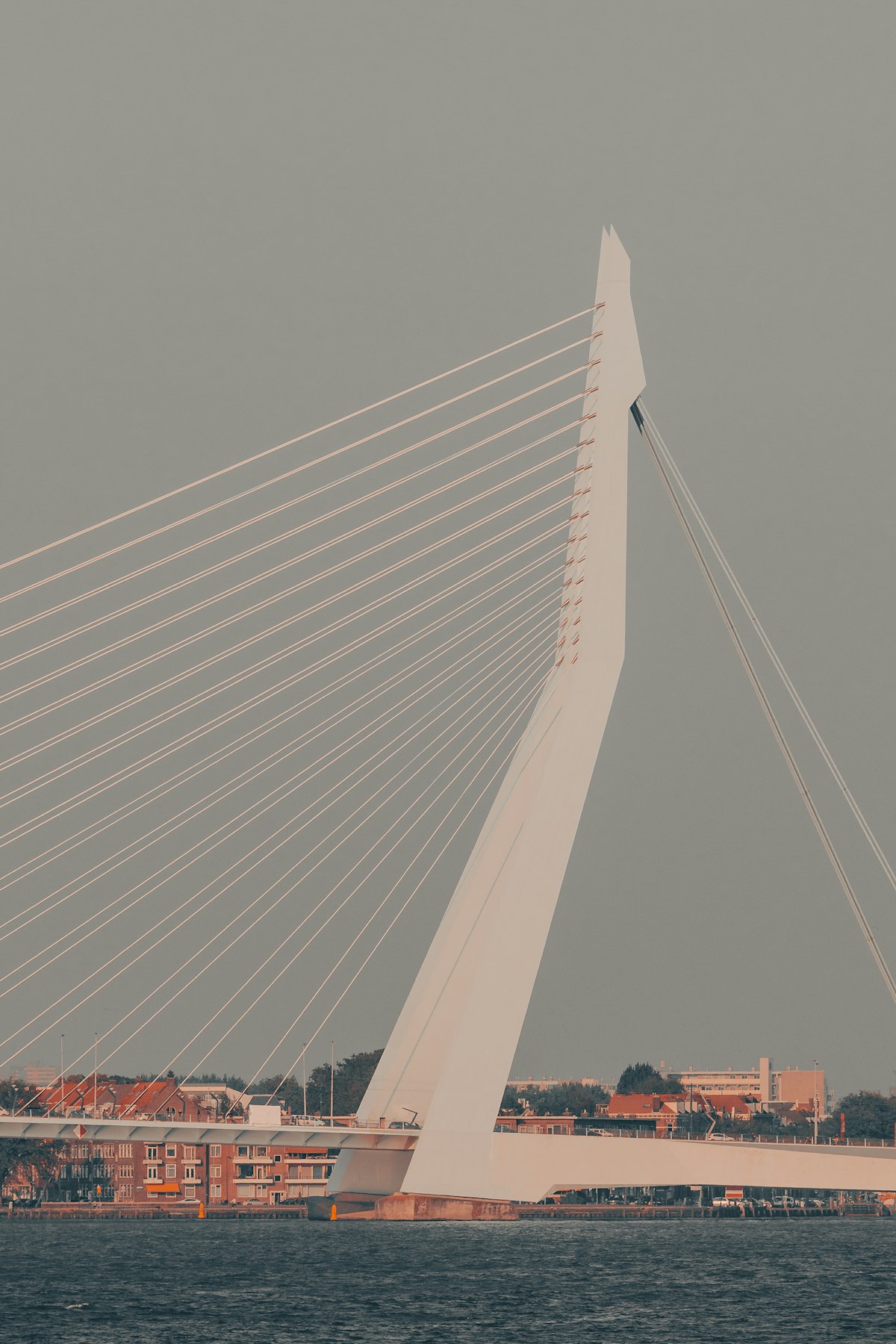 Erasmus Bridge and the Maas river in Rotterdam