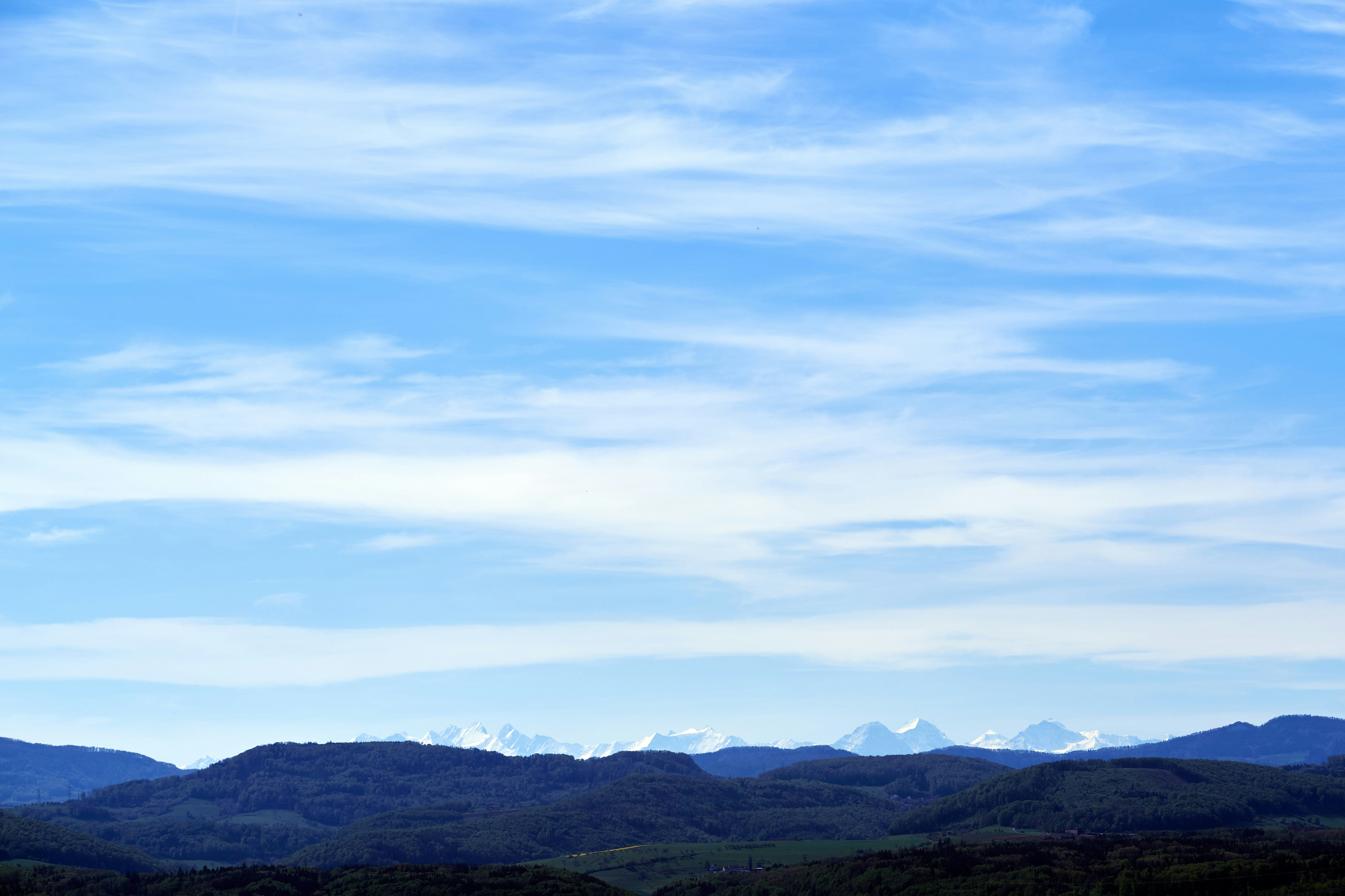 Photo by wolfgang_hasselmann