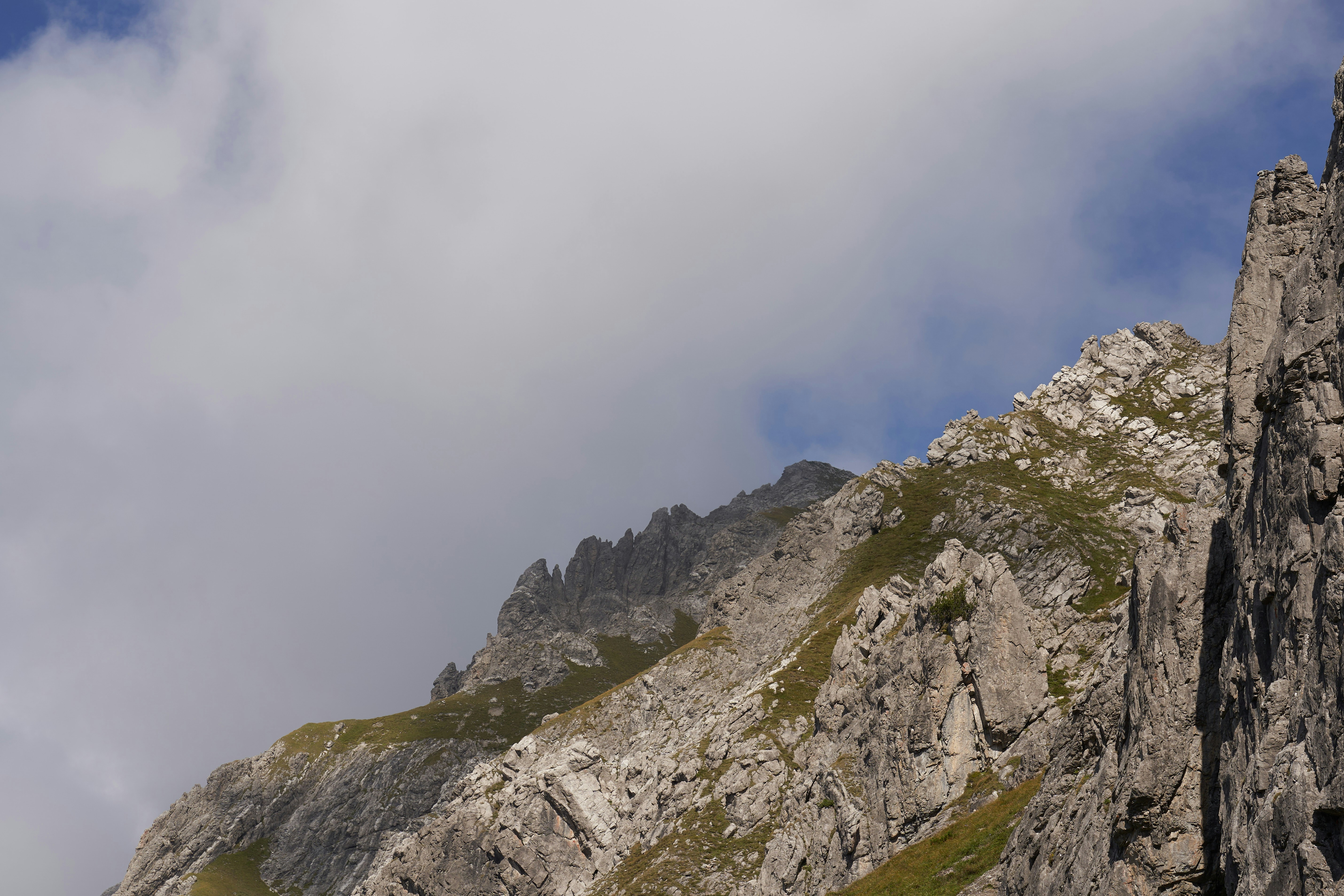 Photo by wolfgang_hasselmann