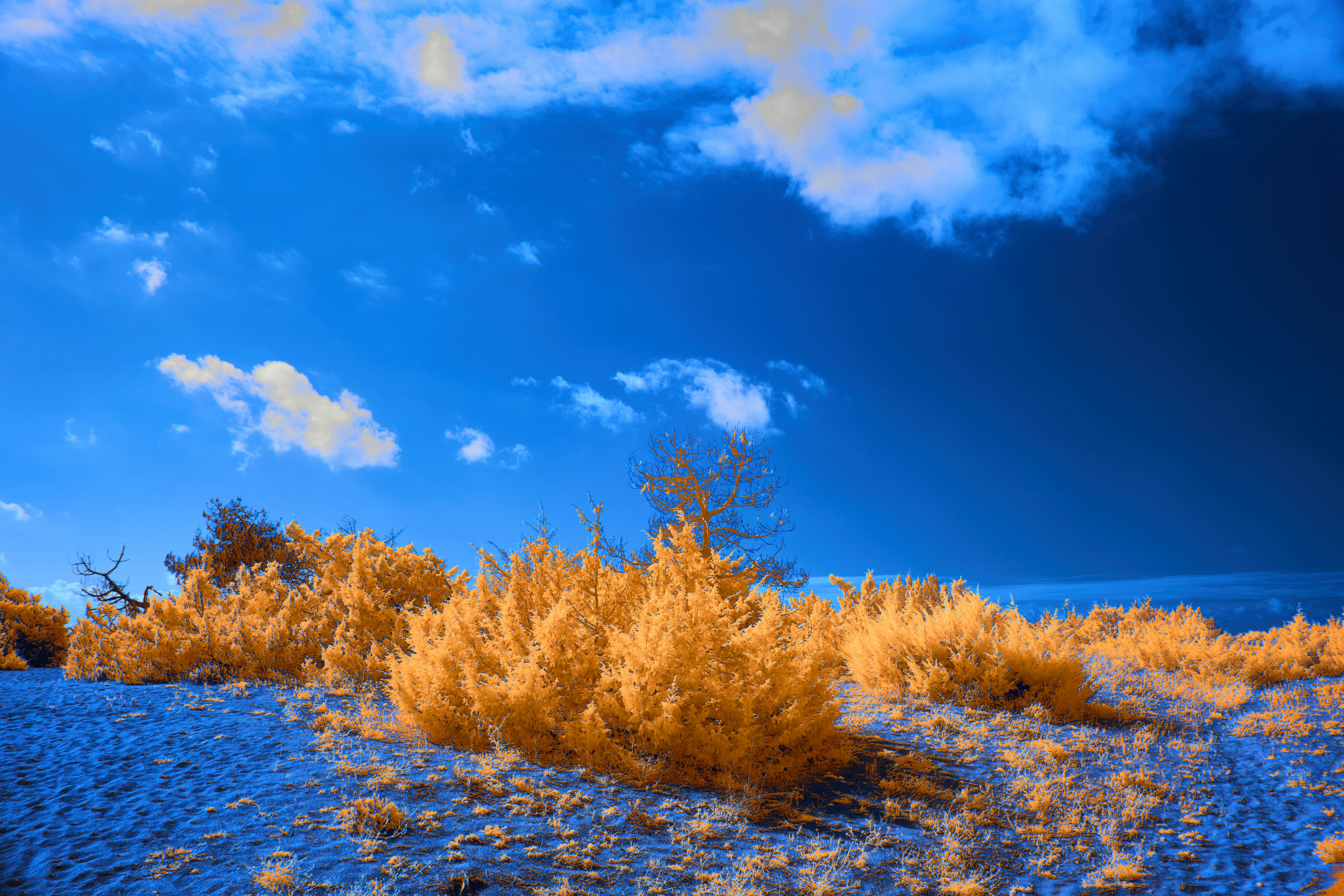 Photo by wolfgang_hasselmann