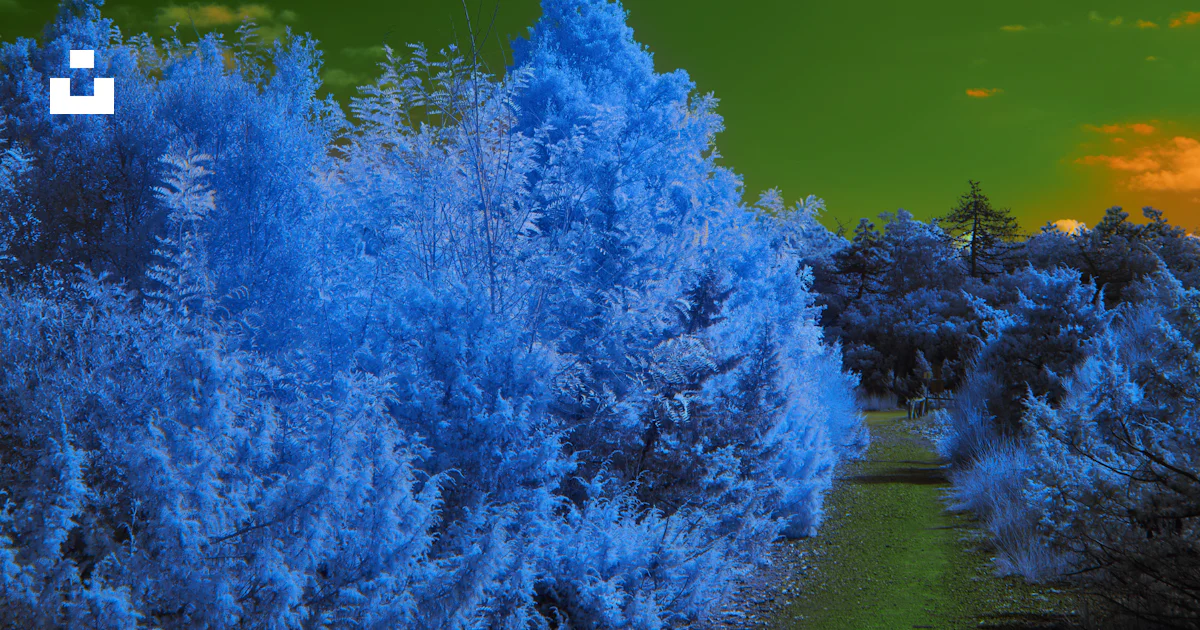 A blue and green landscape with trees and clouds photo – Free Nature ...