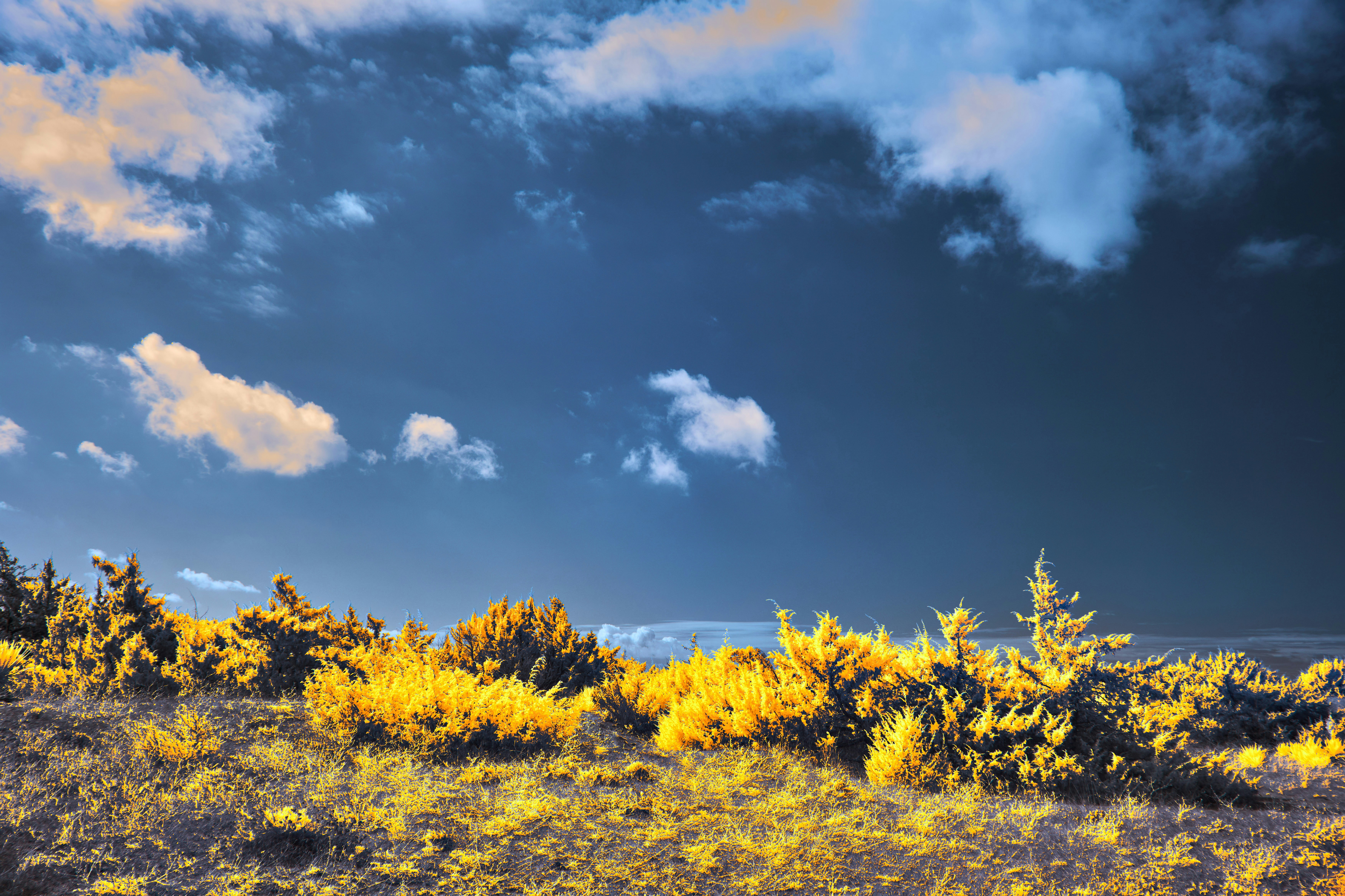 Photo by wolfgang_hasselmann