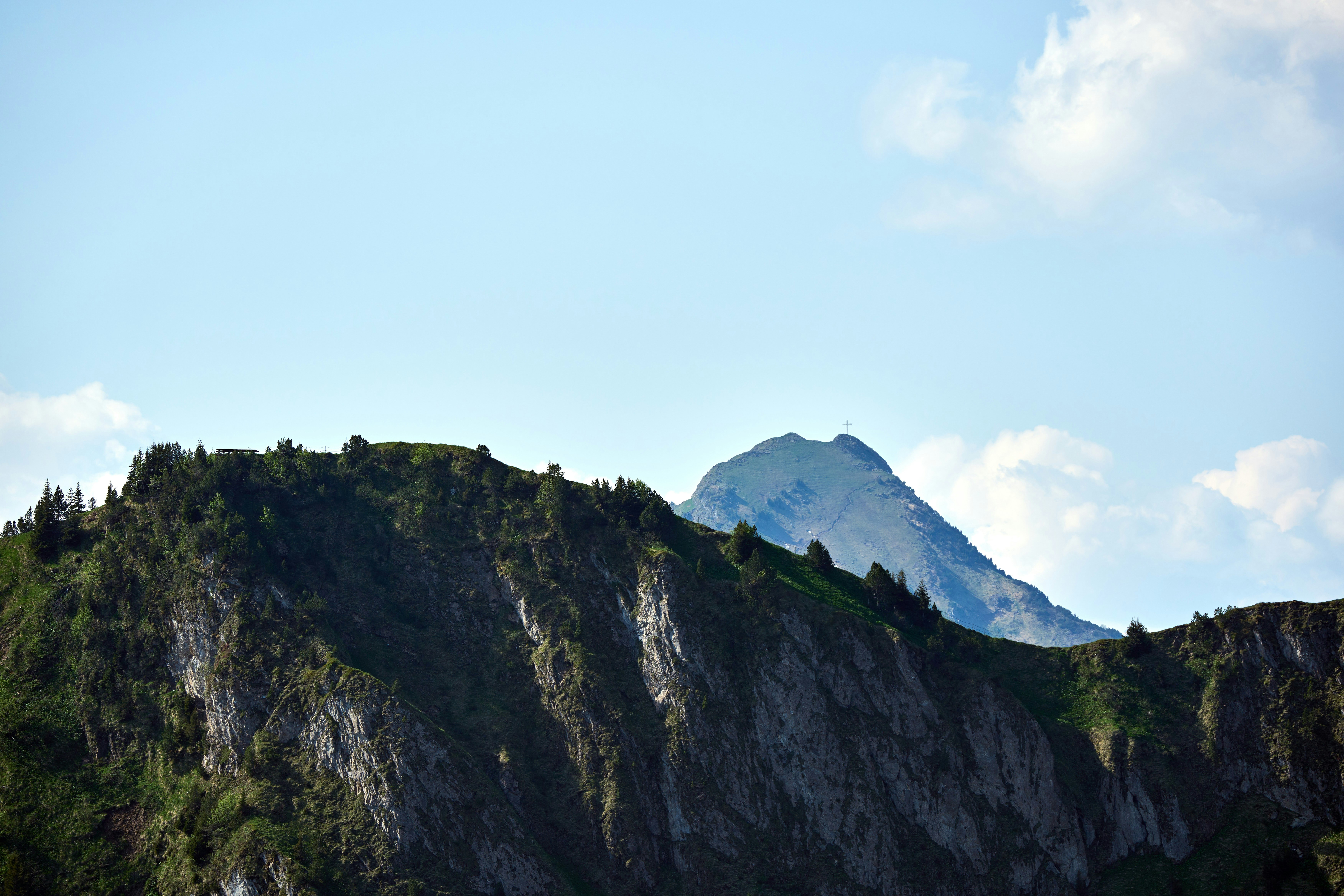 Photo by wolfgang_hasselmann