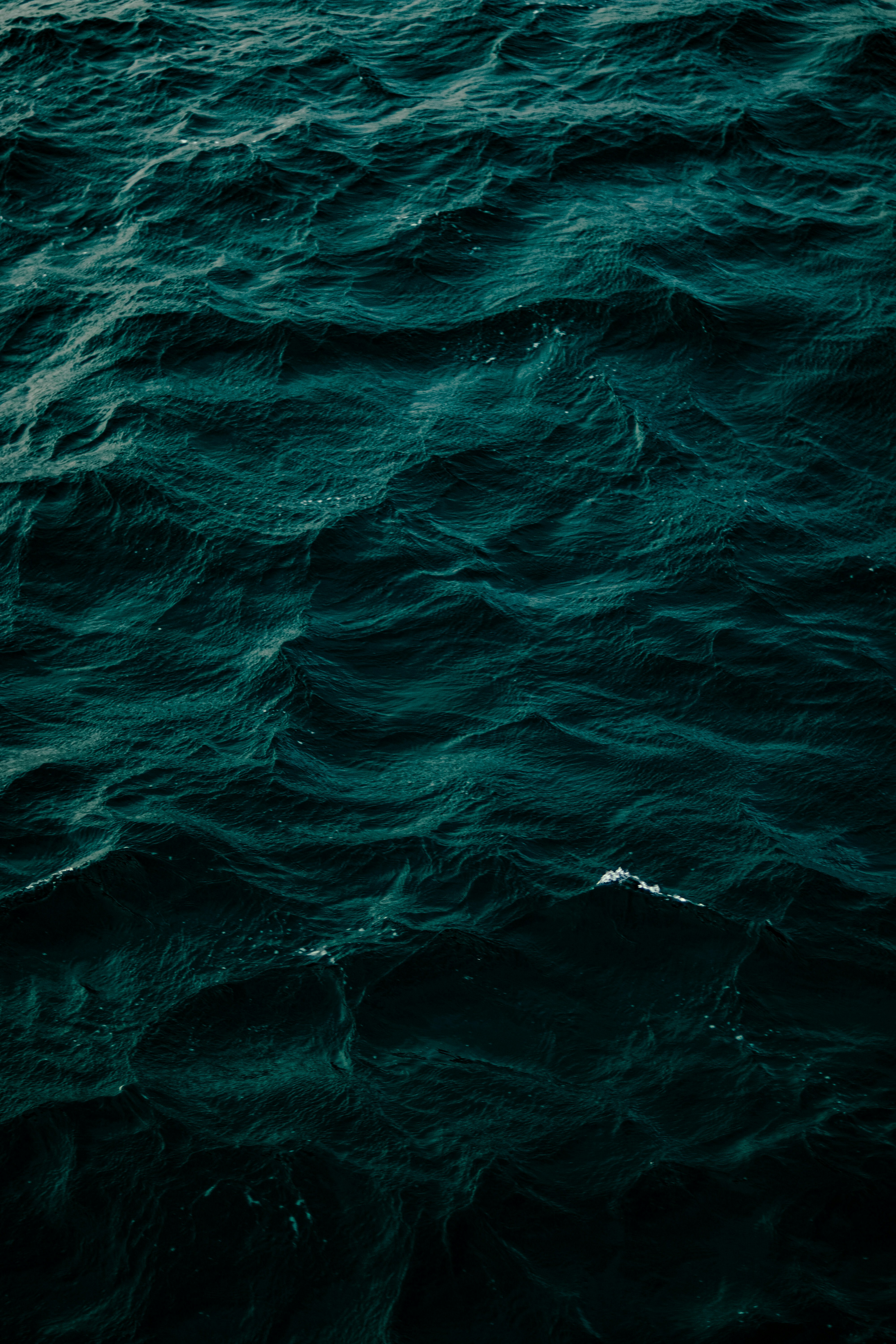 Photo by parhamlotfi