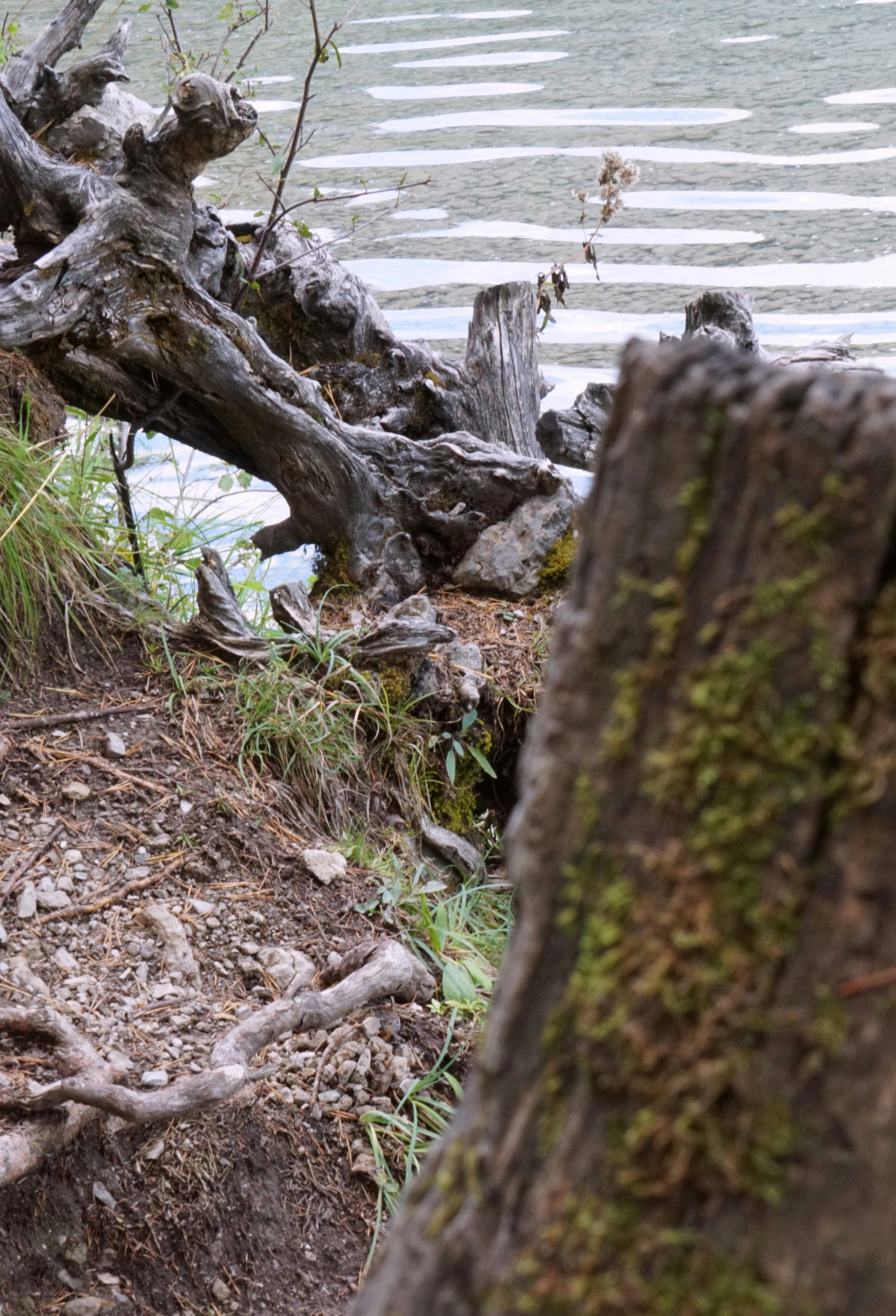 Photo by andreas_haubold