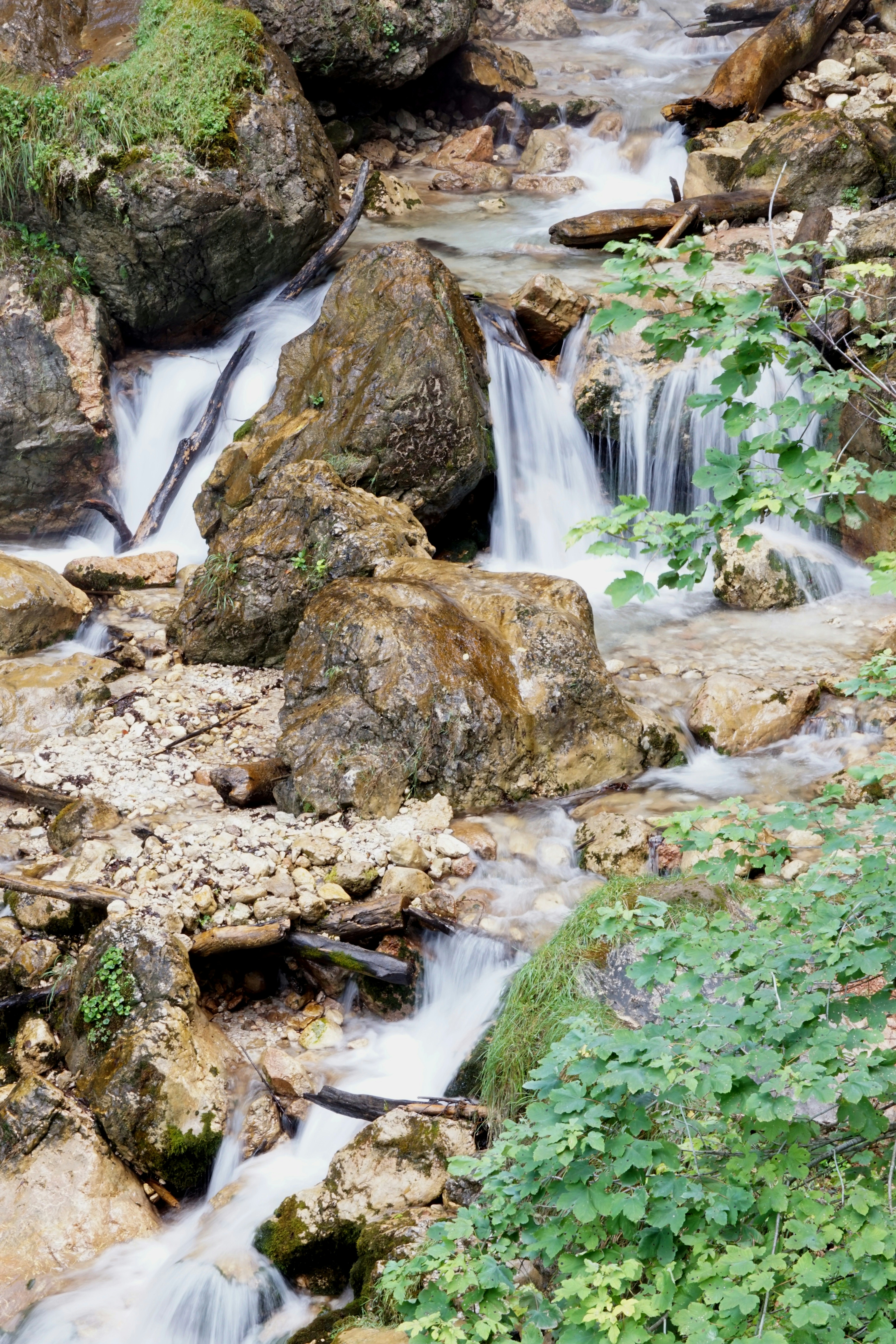 Photo by andreas_haubold