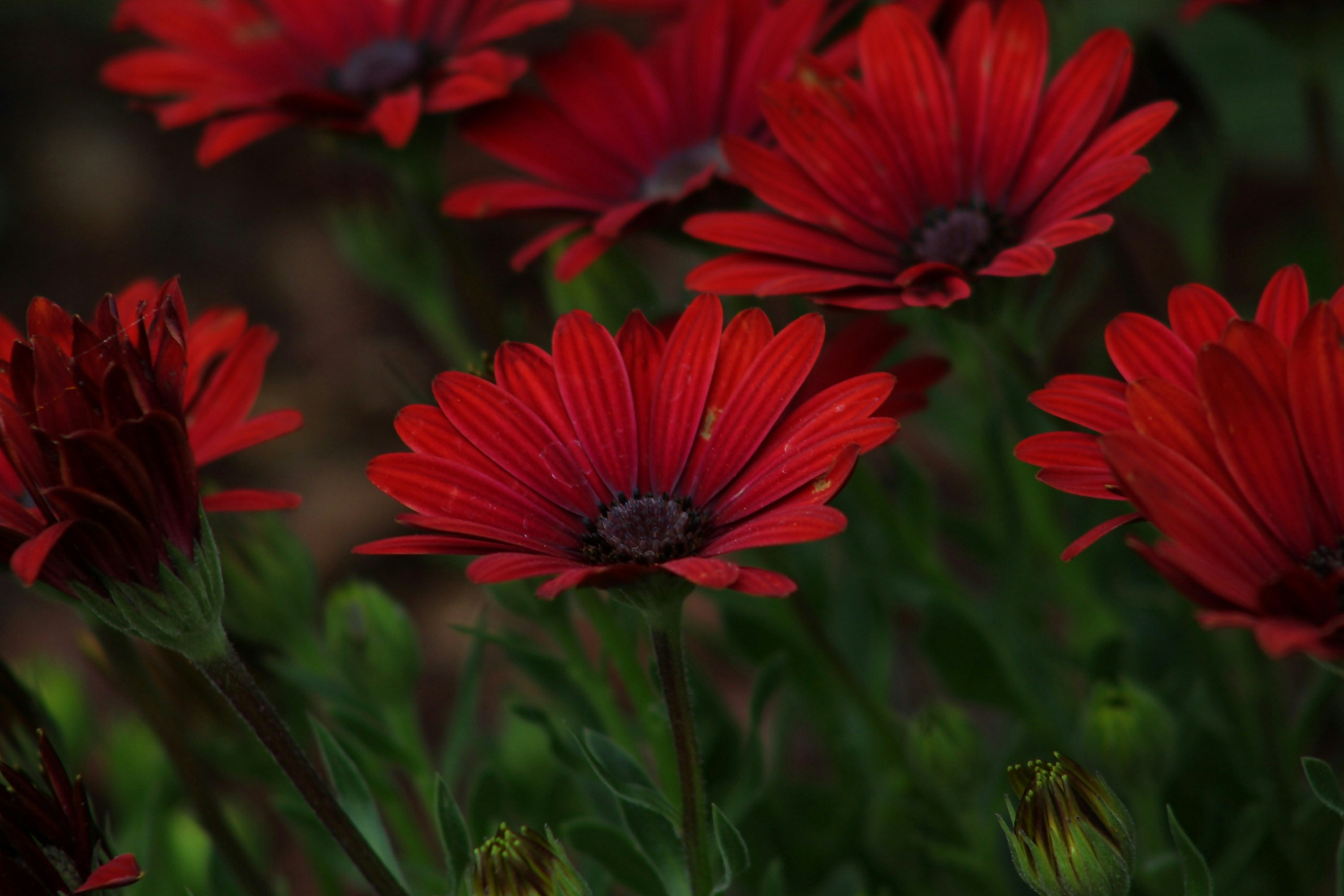 Photo by viewsofthecamera