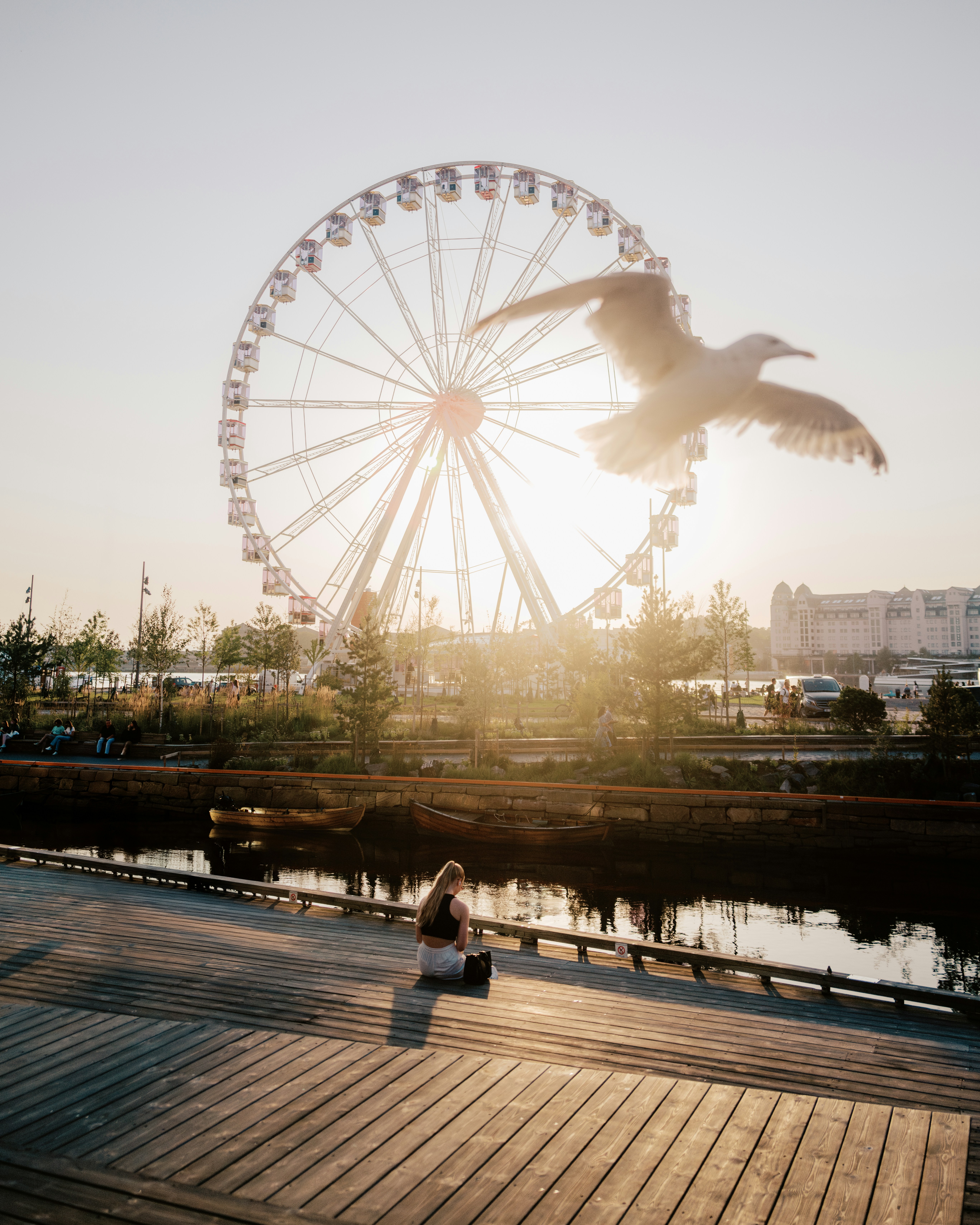 A bird flying over a pier with a ferris wheel in the background