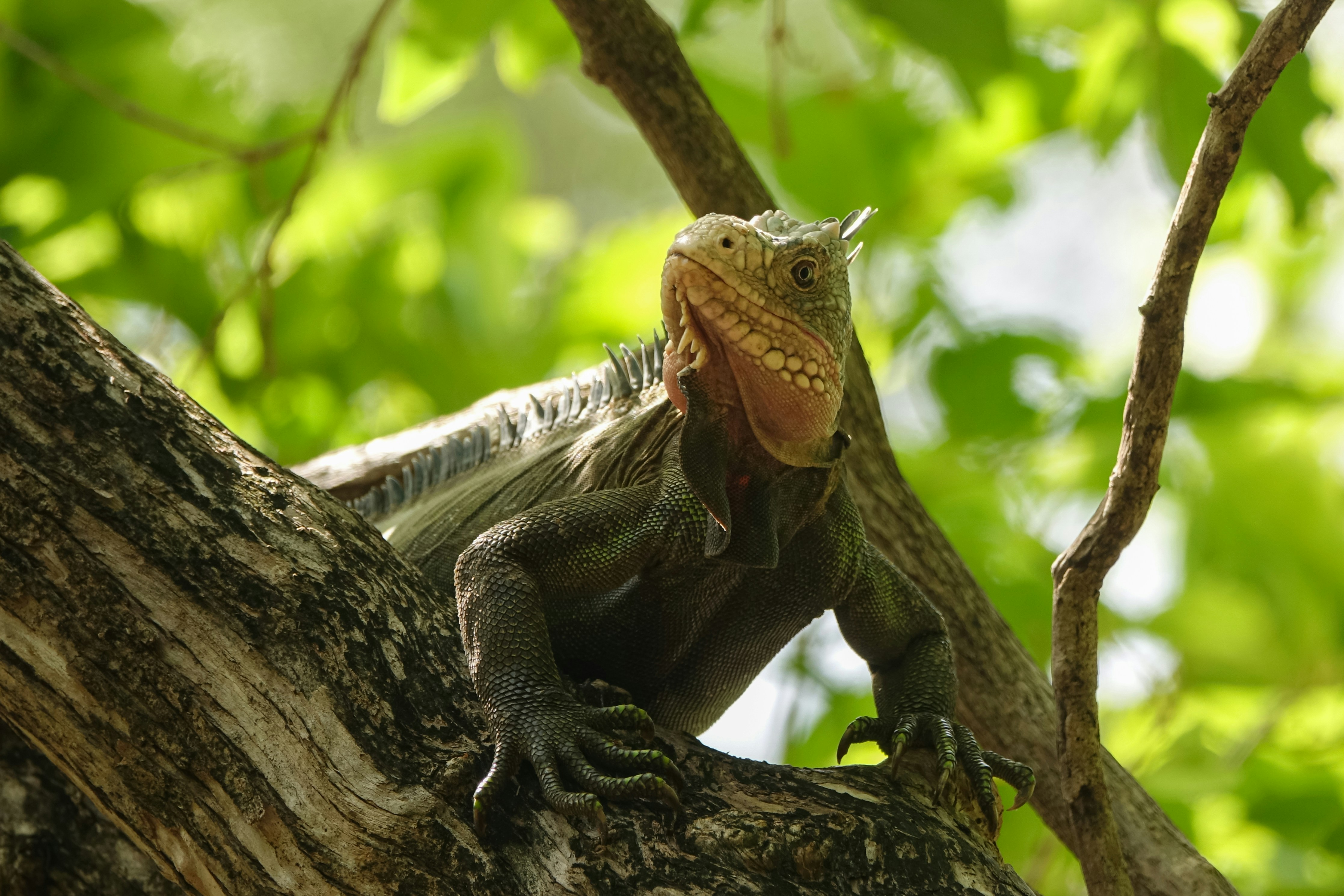 Evidence & Aesthetics: Perceptual AI, Photo Provenance and the Critic’s Toolkit in 2026