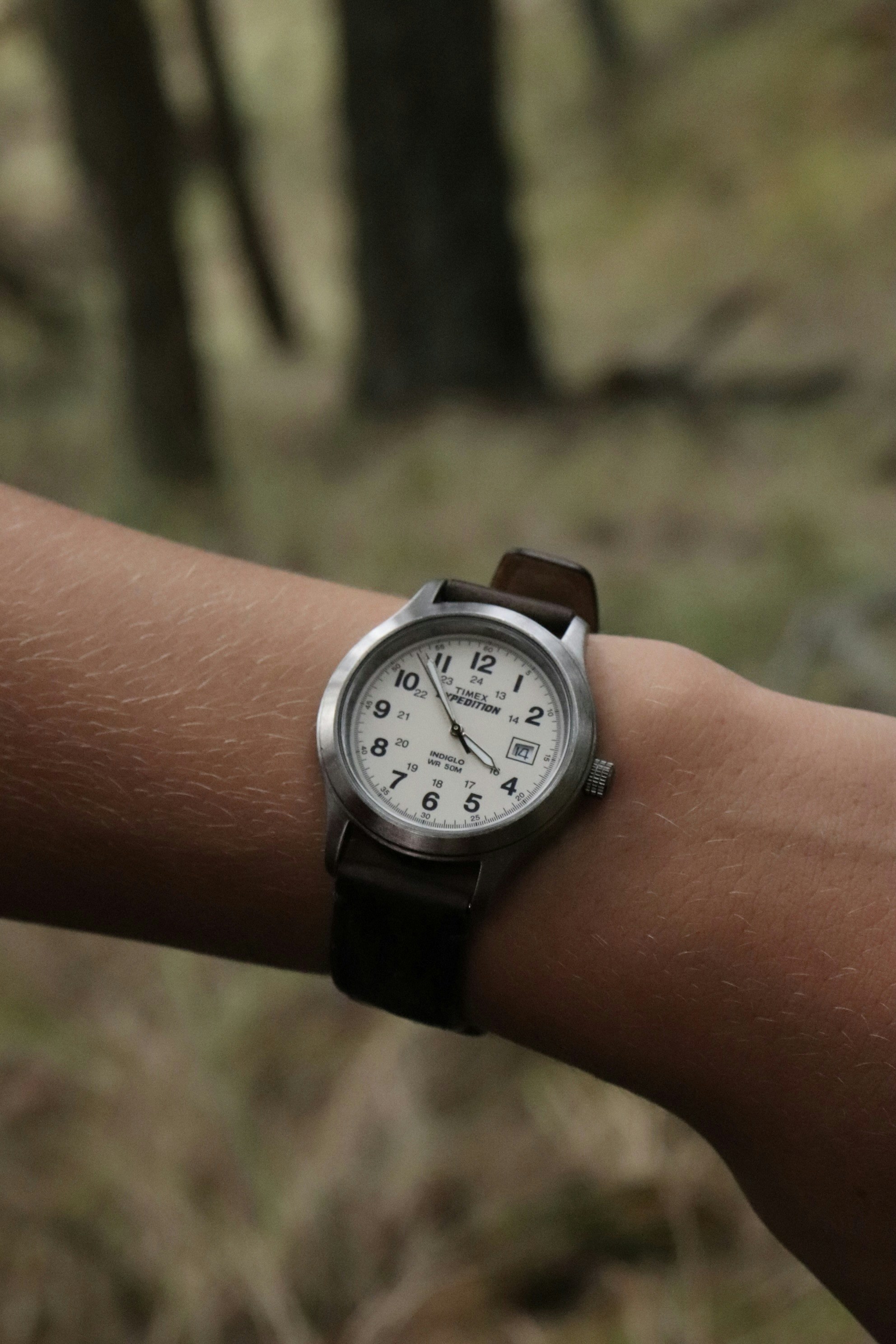 A person with a watch on their arm