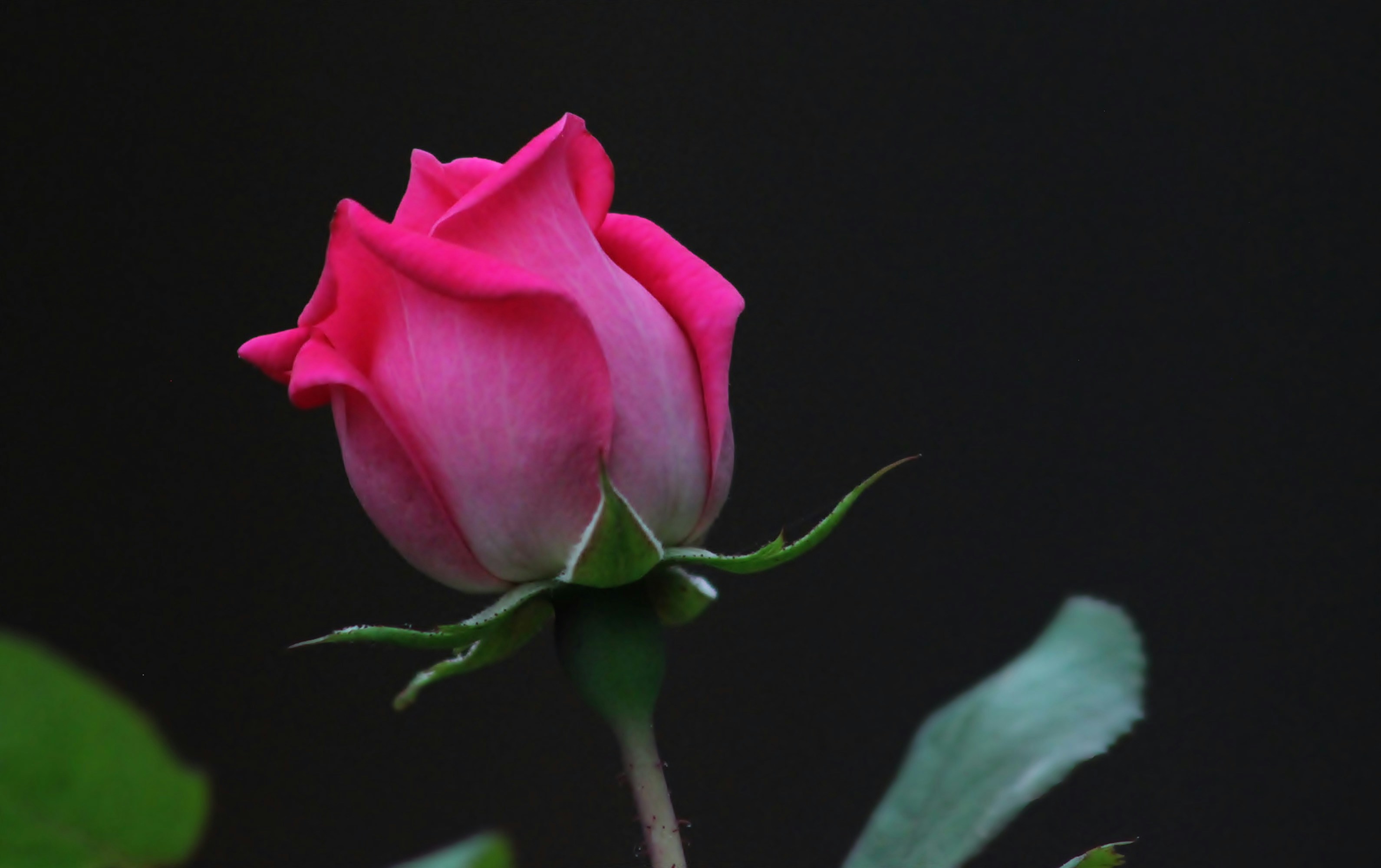 Photo by viewsofthecamera