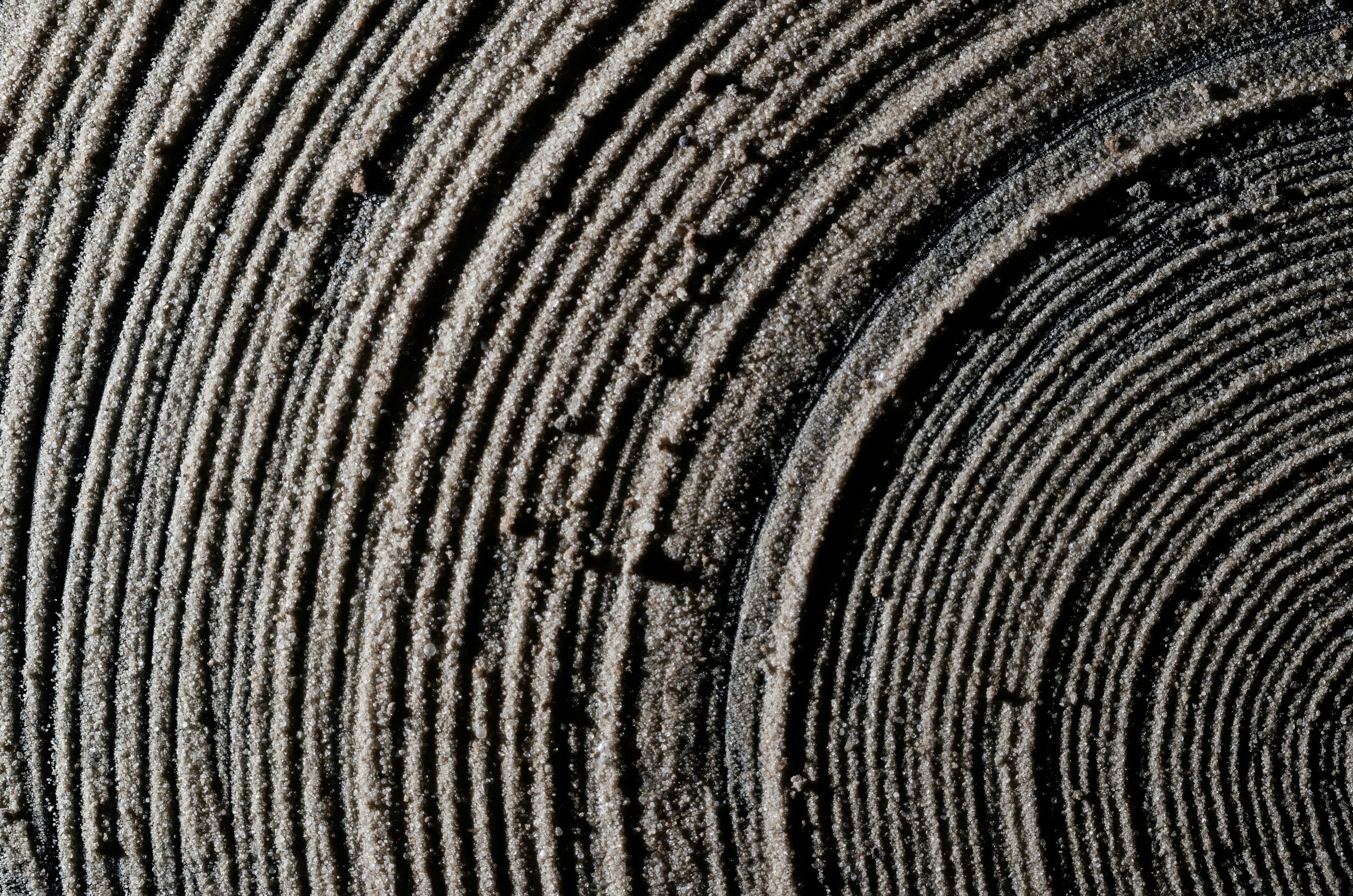 Photo by andrilliardbond