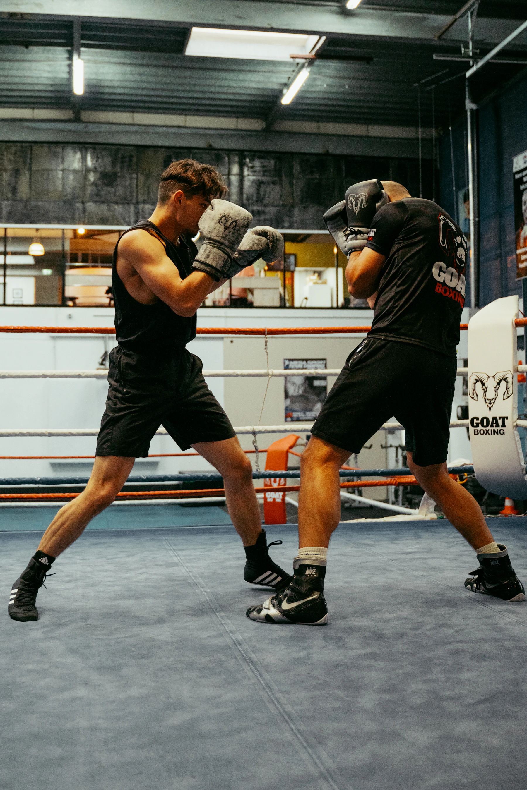 Entraînement de boxe