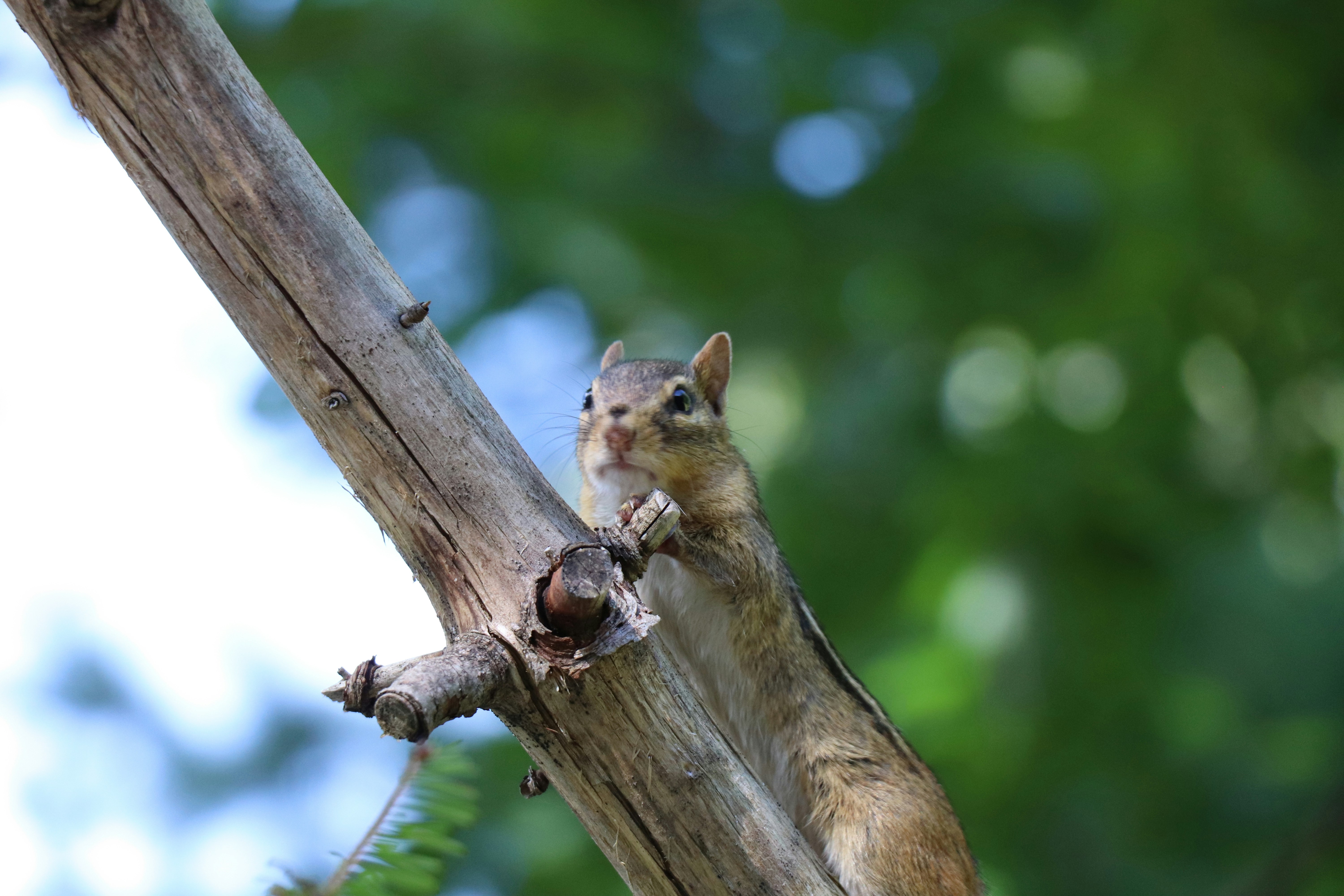 Photo by sandimagerart