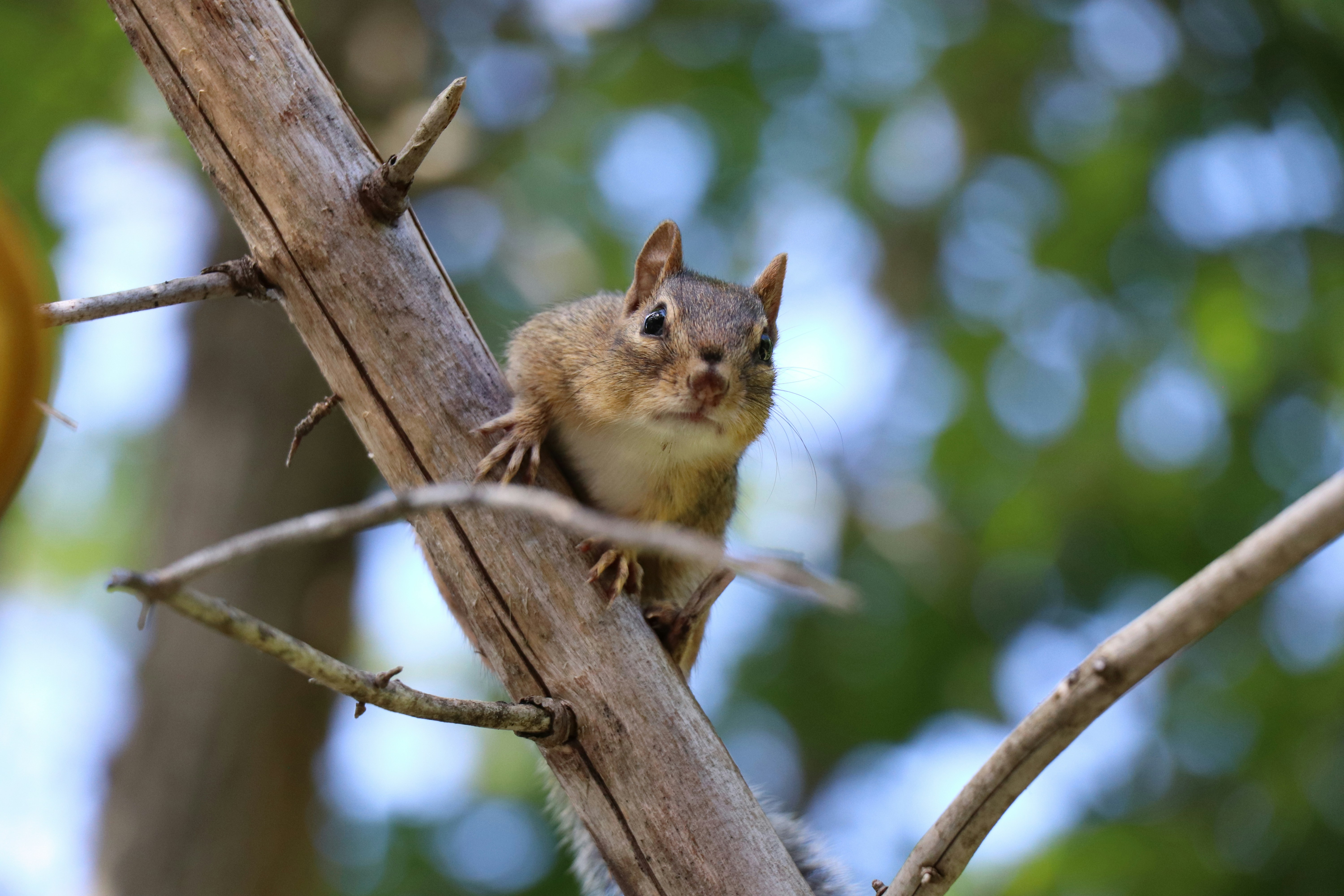 Photo by sandimagerart