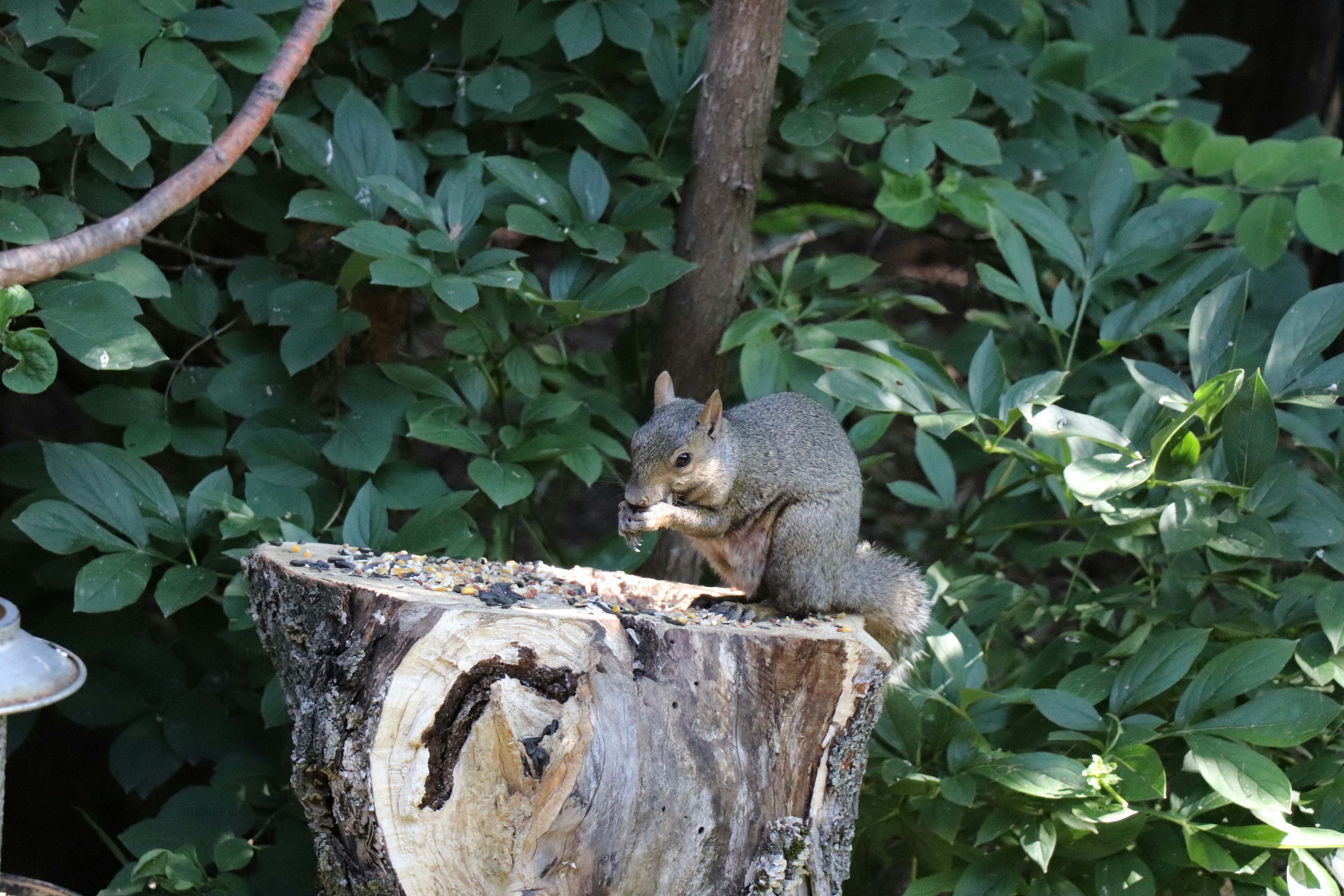 Photo by sandimagerart