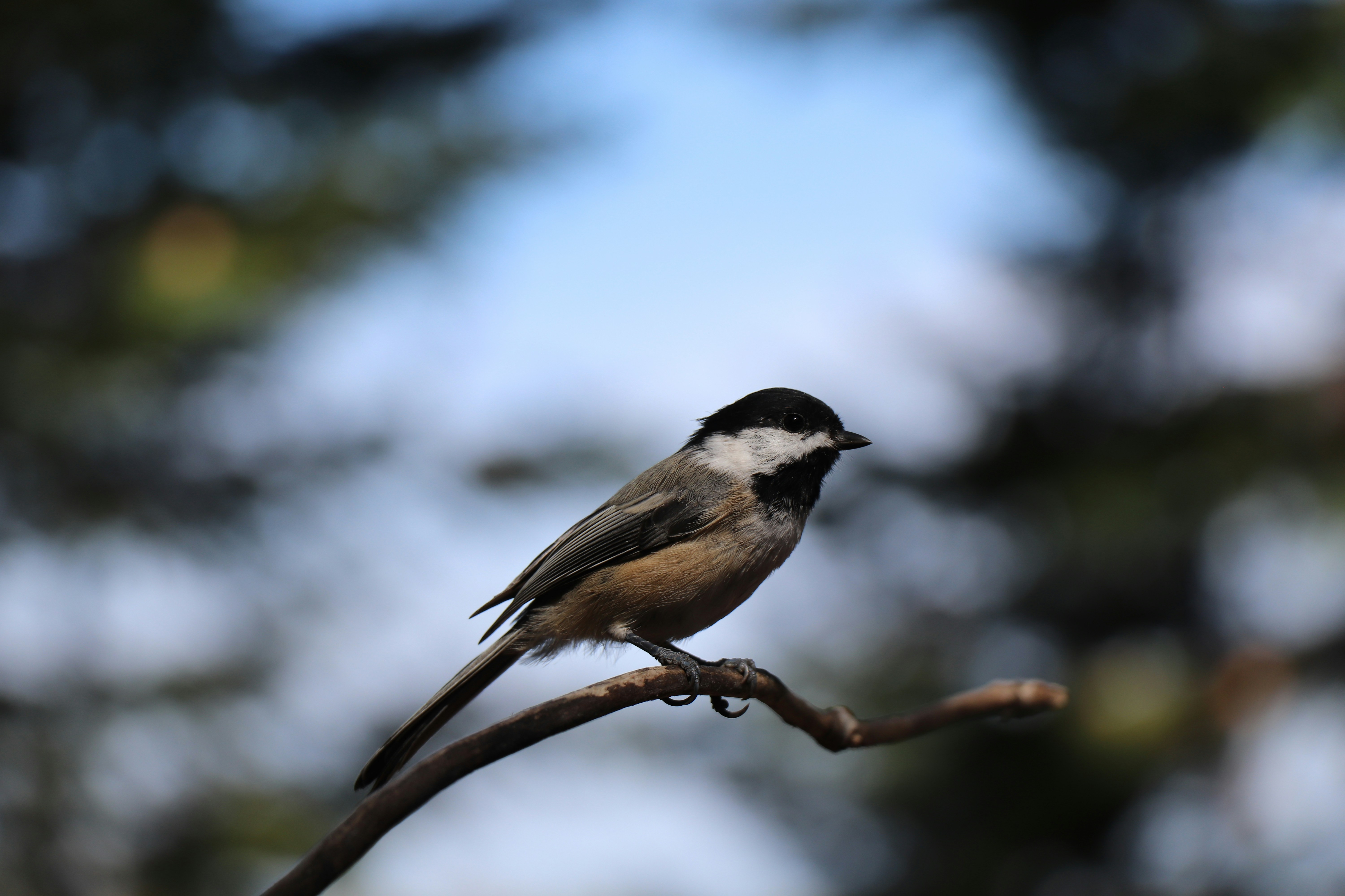 Photo by sandimagerart