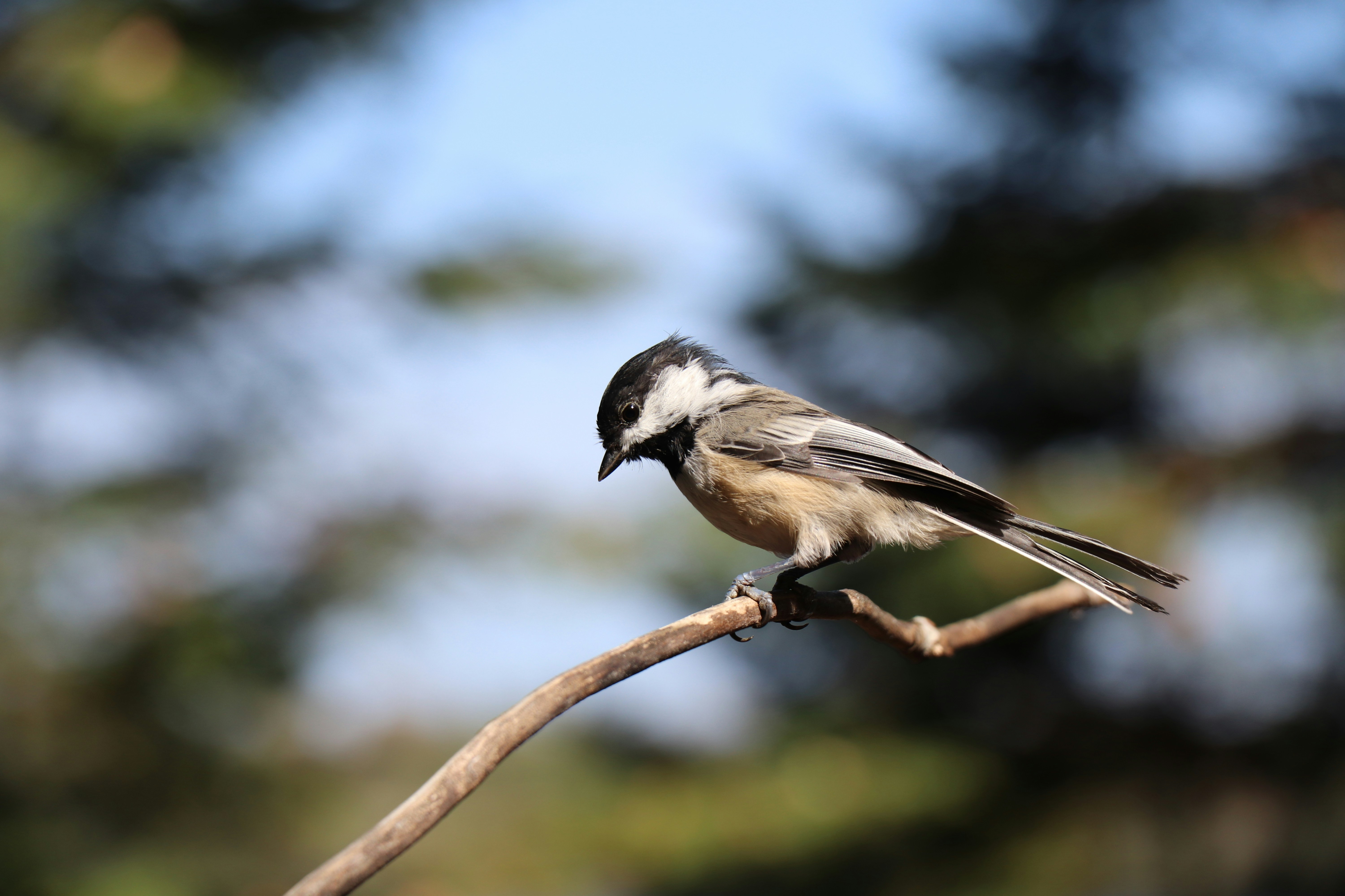 Photo by sandimagerart