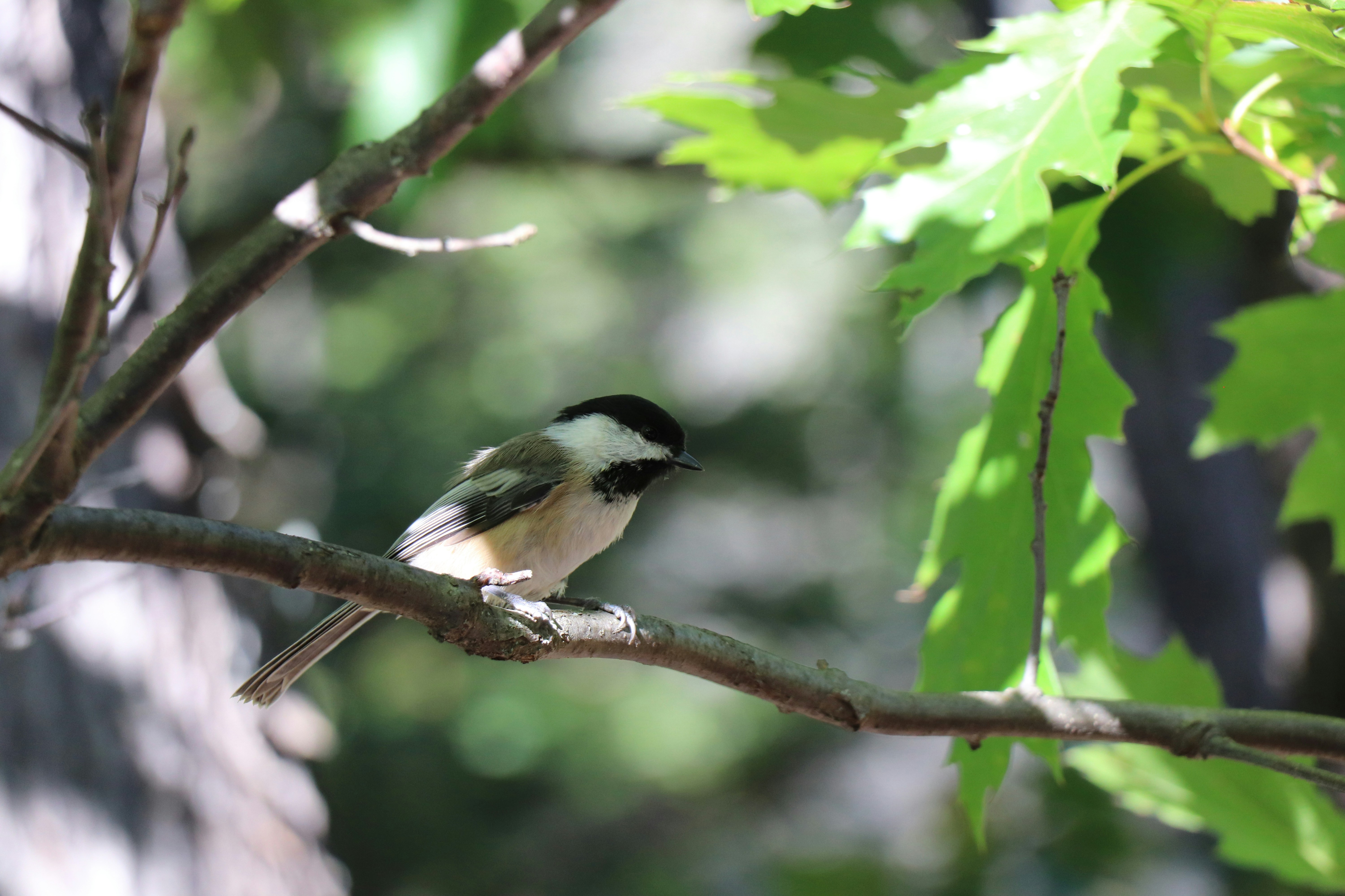 Photo by sandimagerart