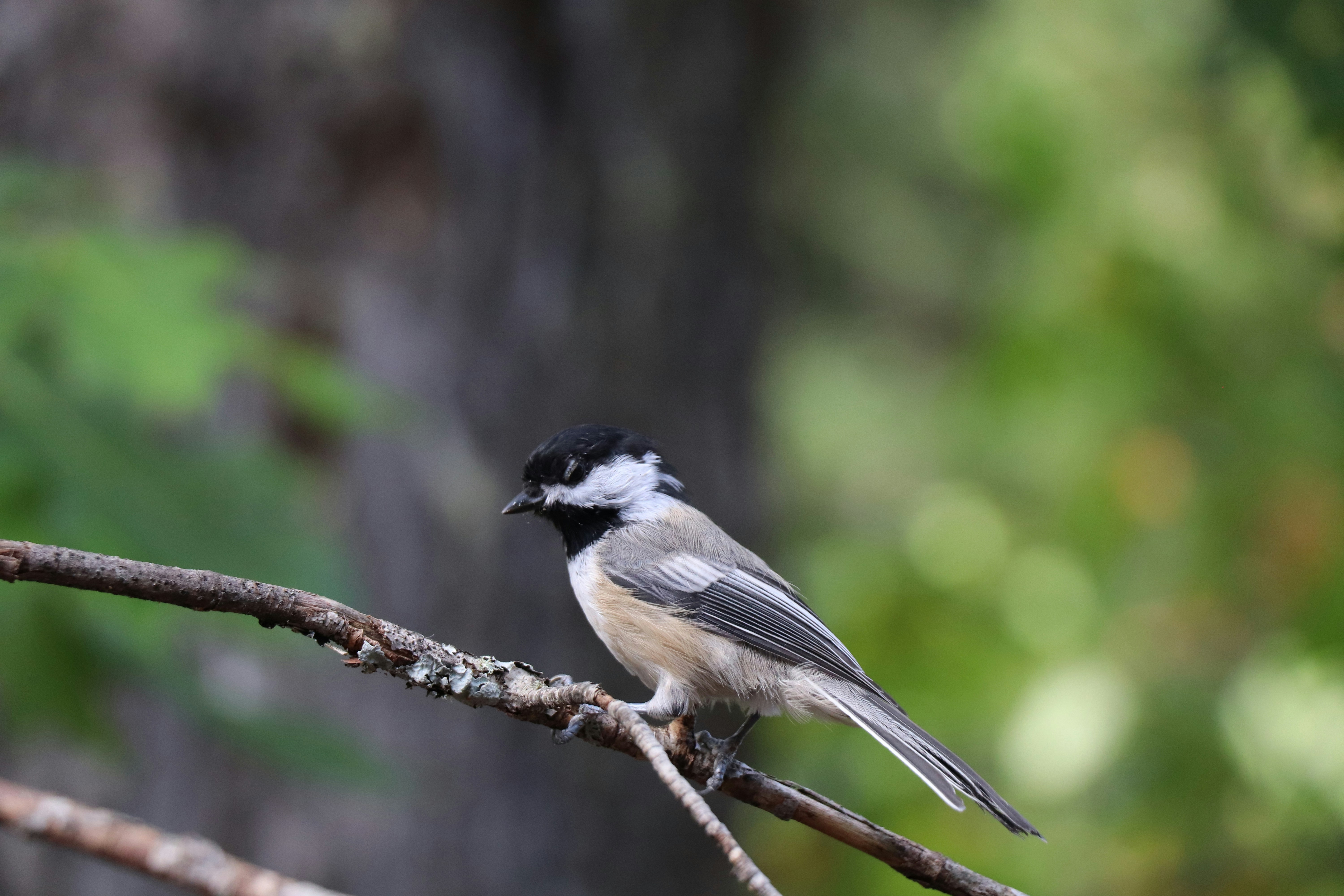 Photo by sandimagerart