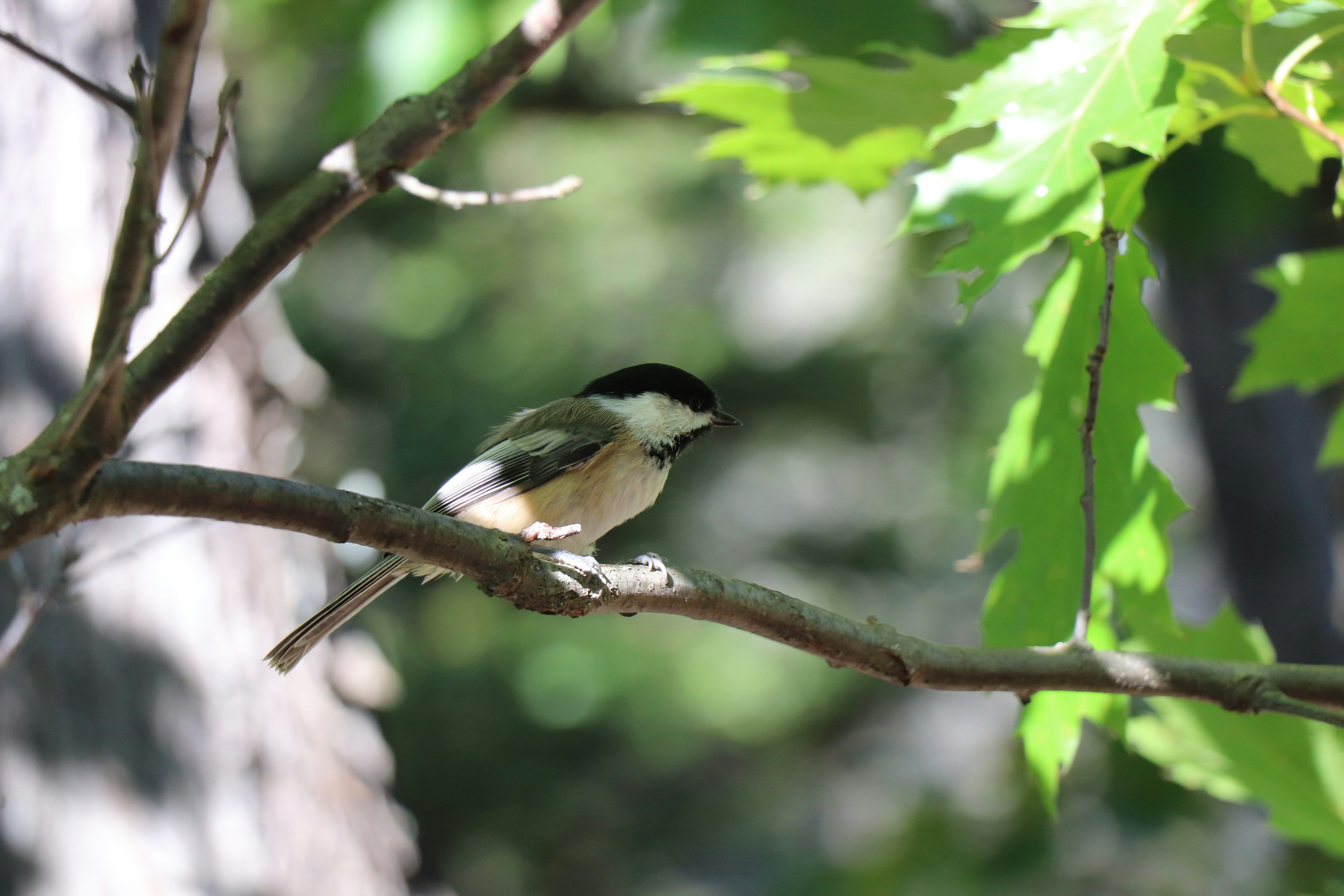 Photo by sandimagerart