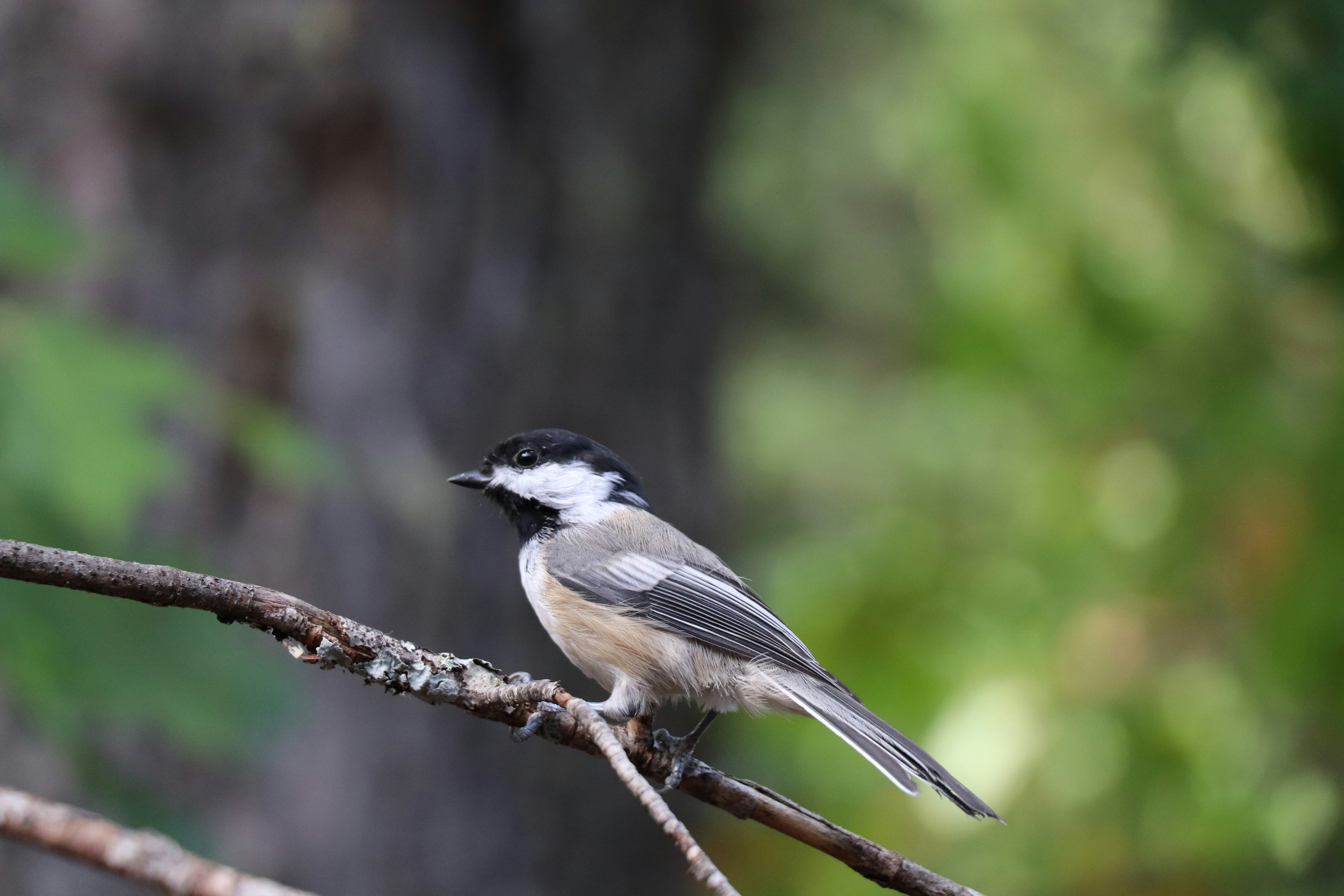 Photo by sandimagerart