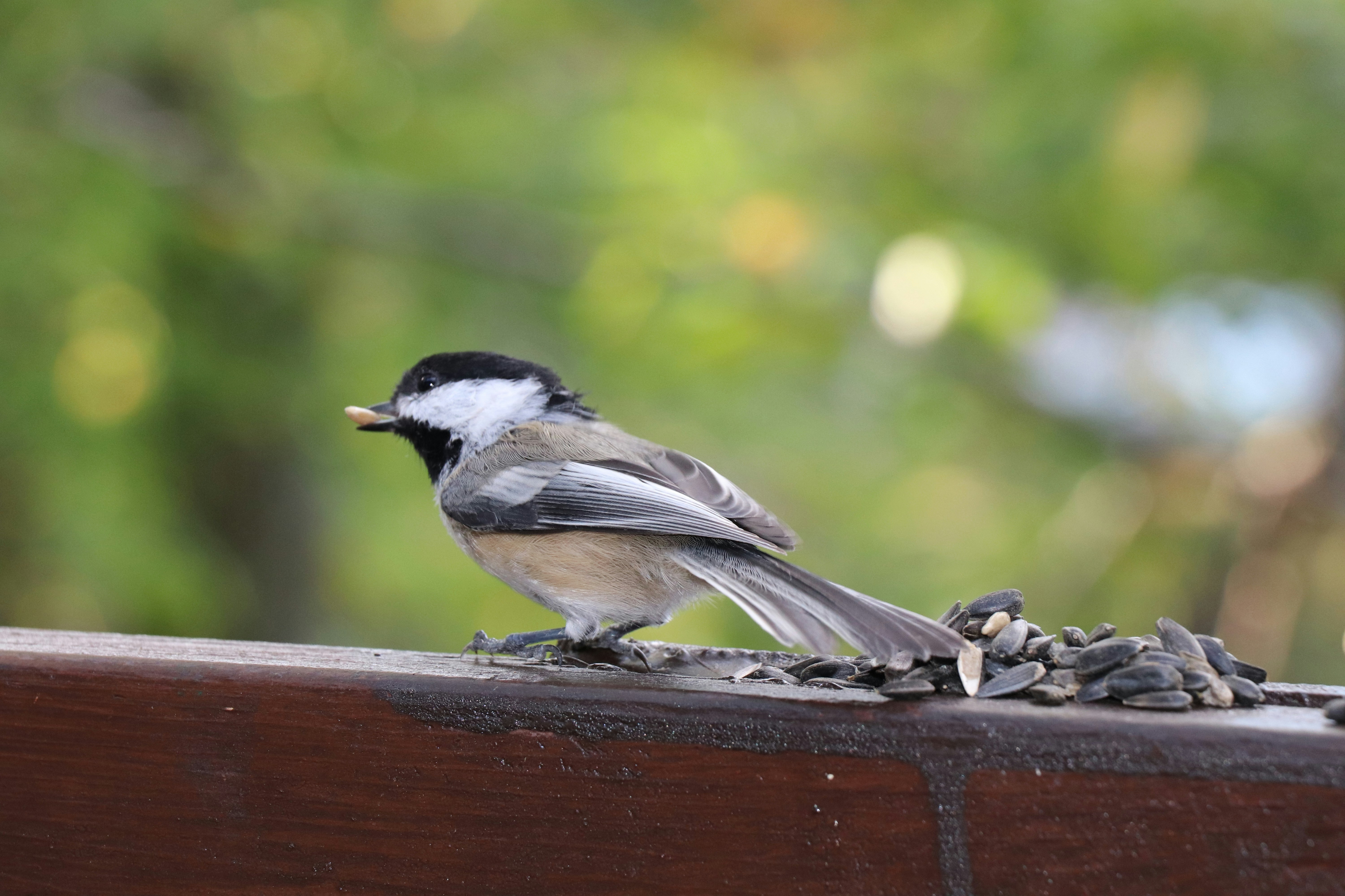 Photo by sandimagerart