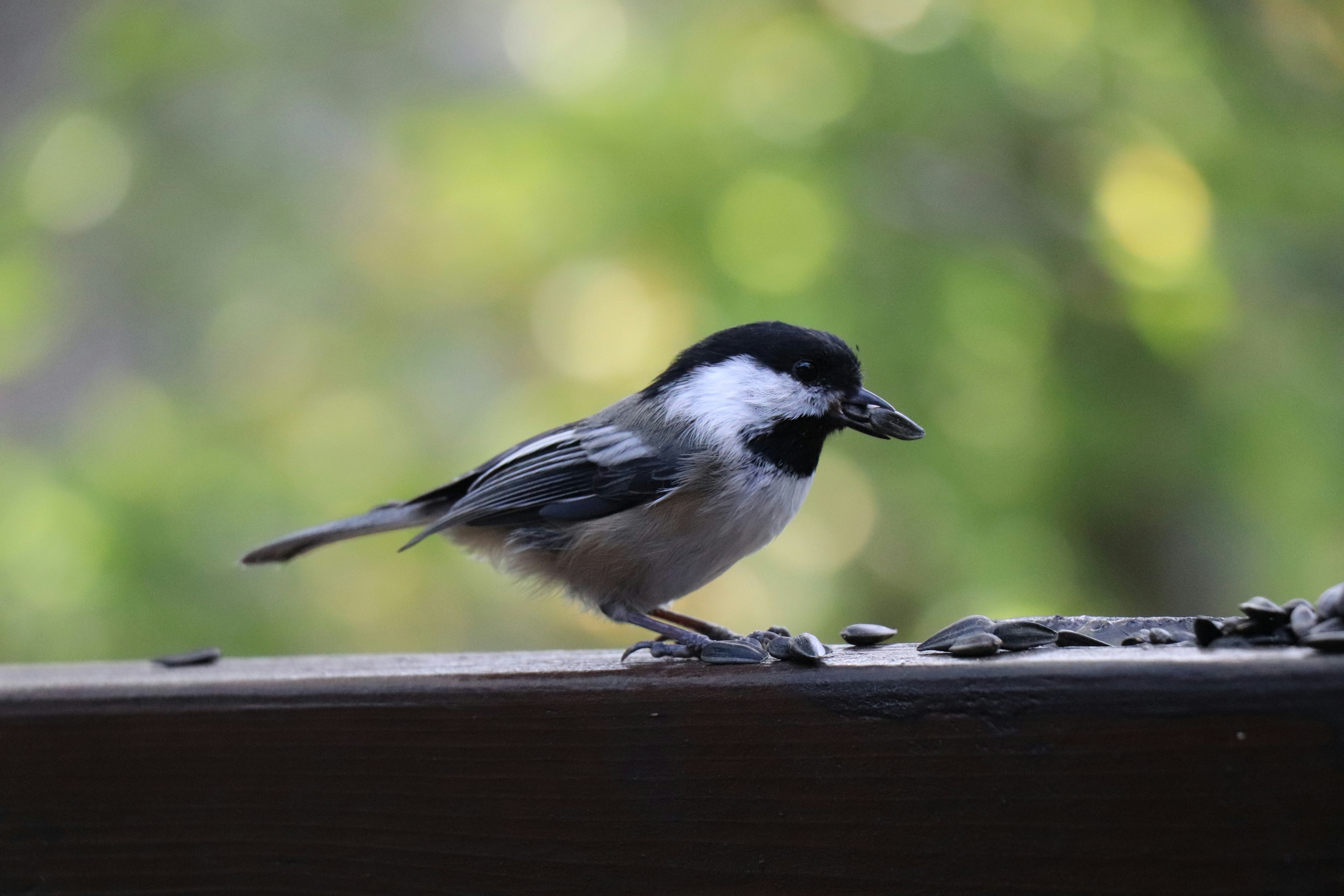 Photo by sandimagerart