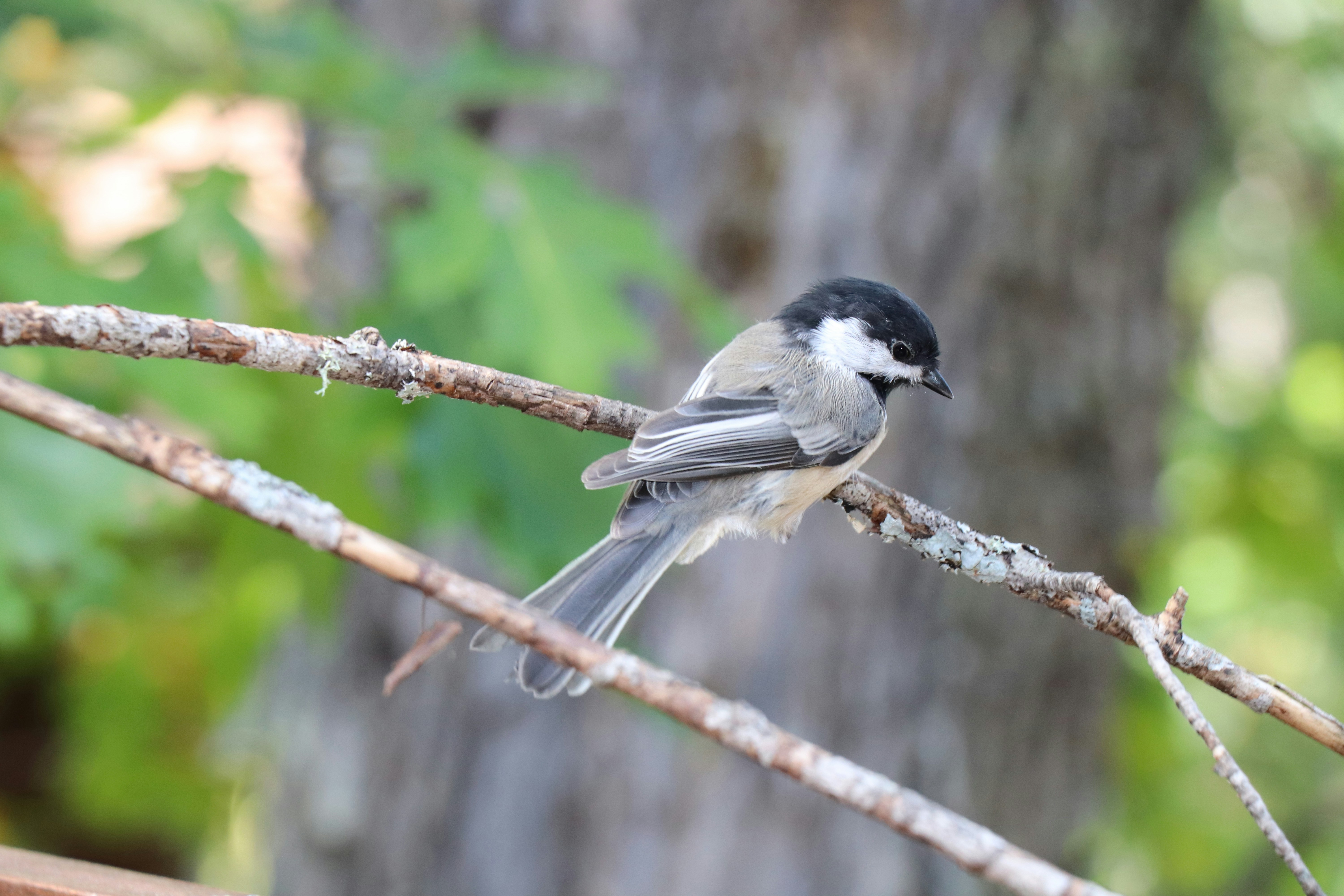 Photo by sandimagerart