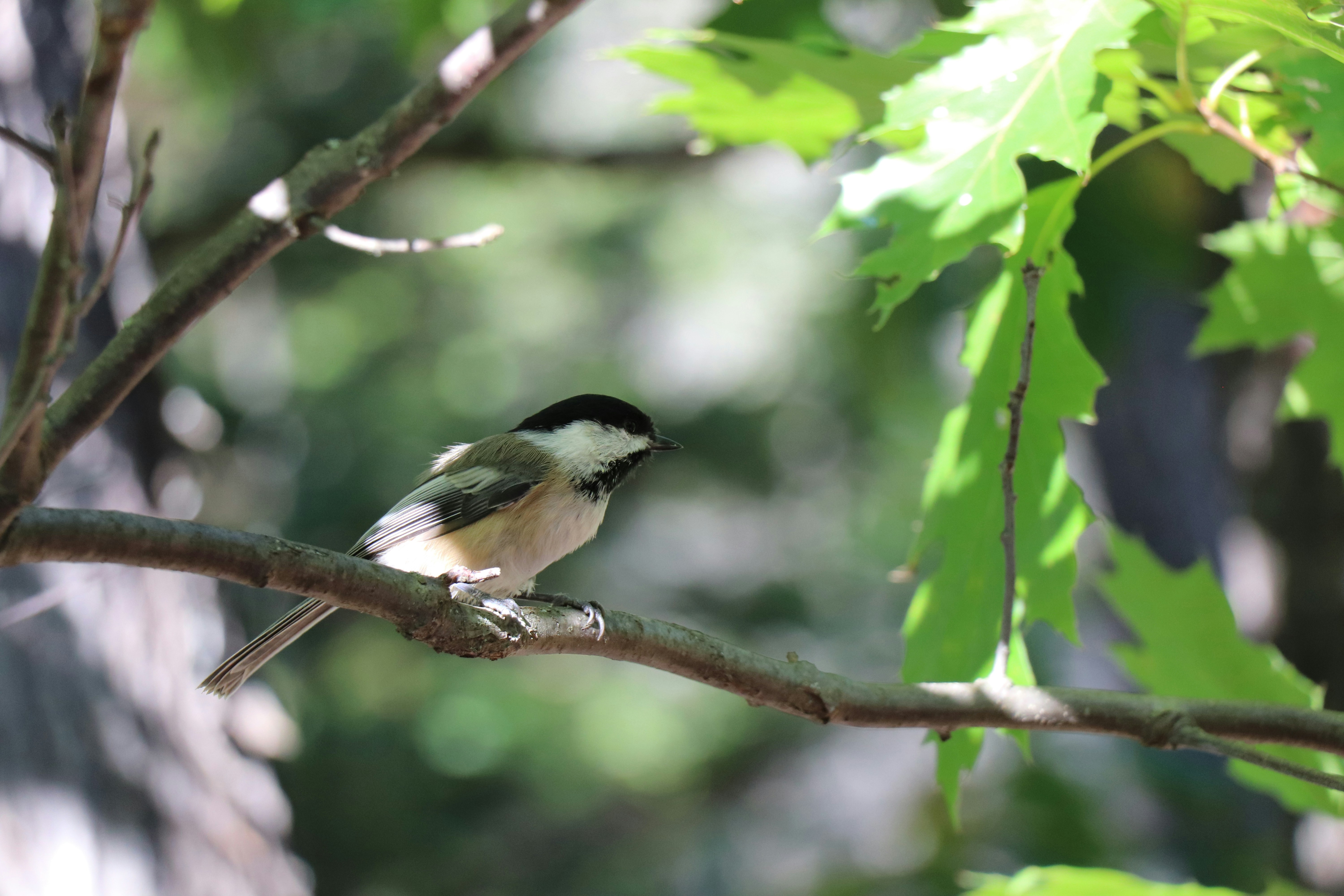 Photo by sandimagerart