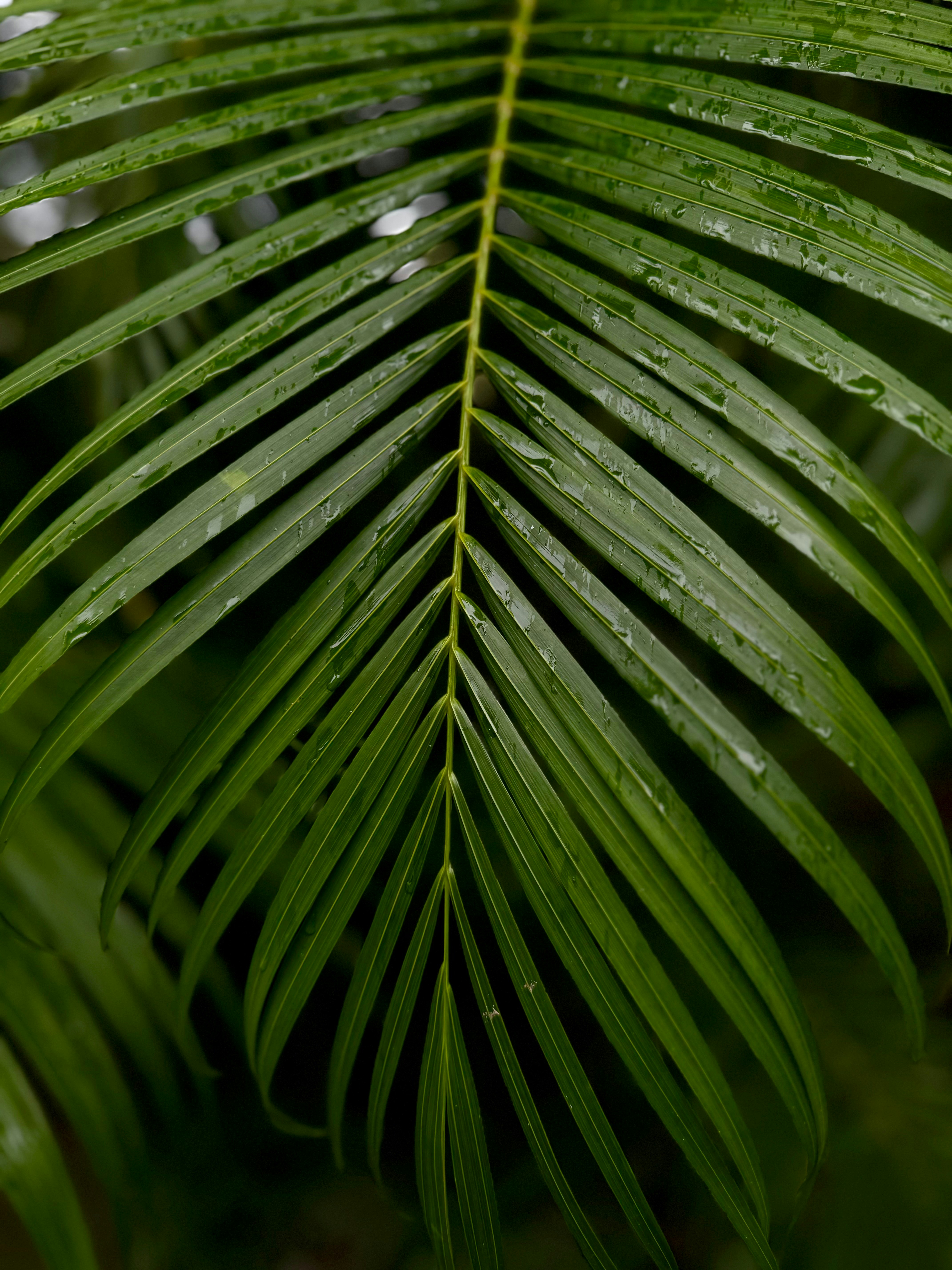 Photo by arptrastogi