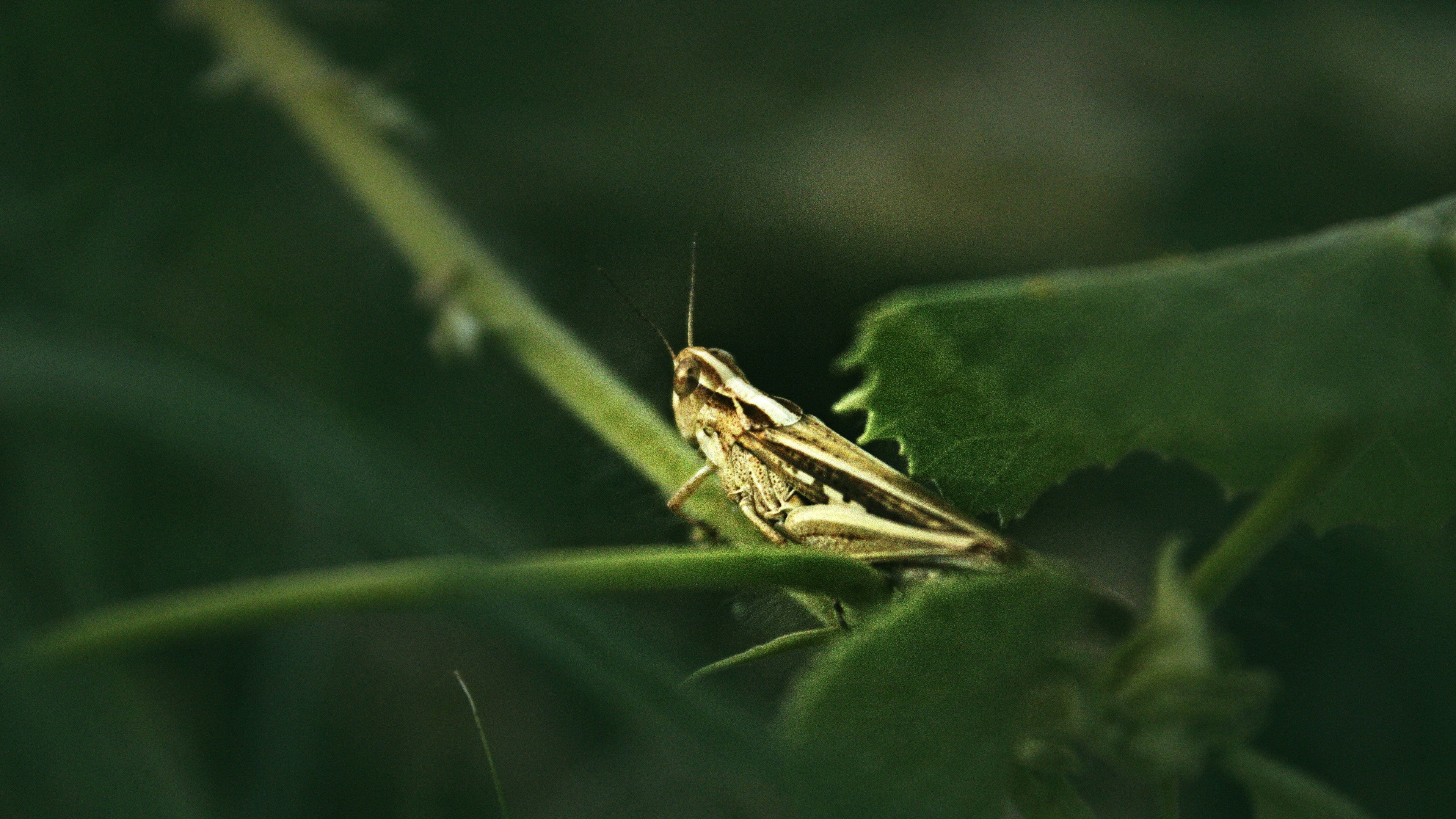 Photo by pranavdharlapudi