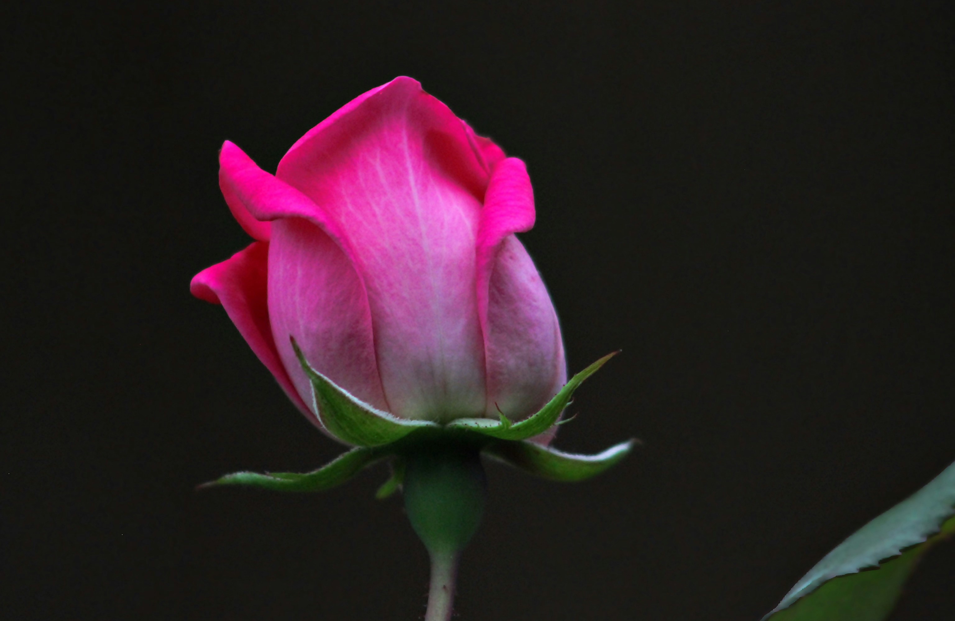 Photo by viewsofthecamera