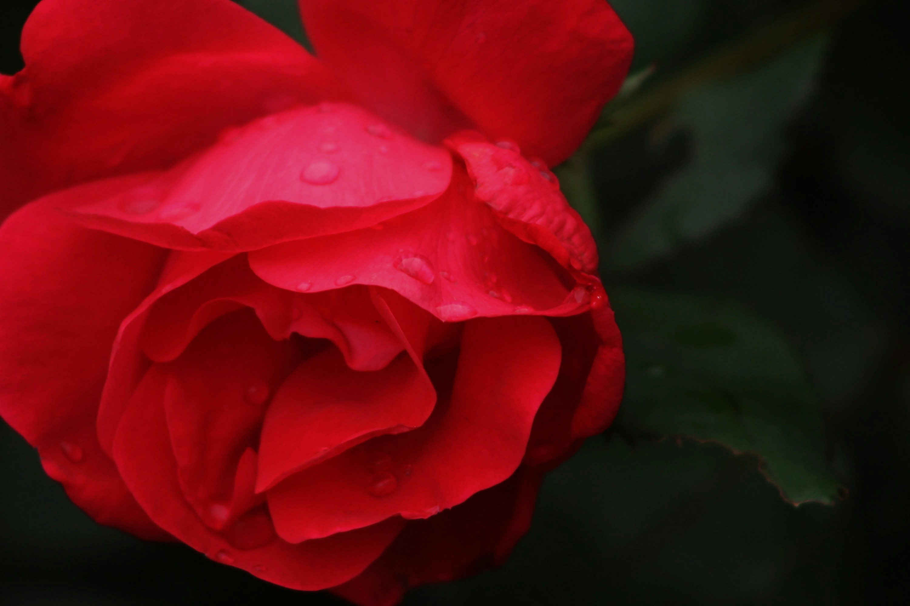 Photo by viewsofthecamera