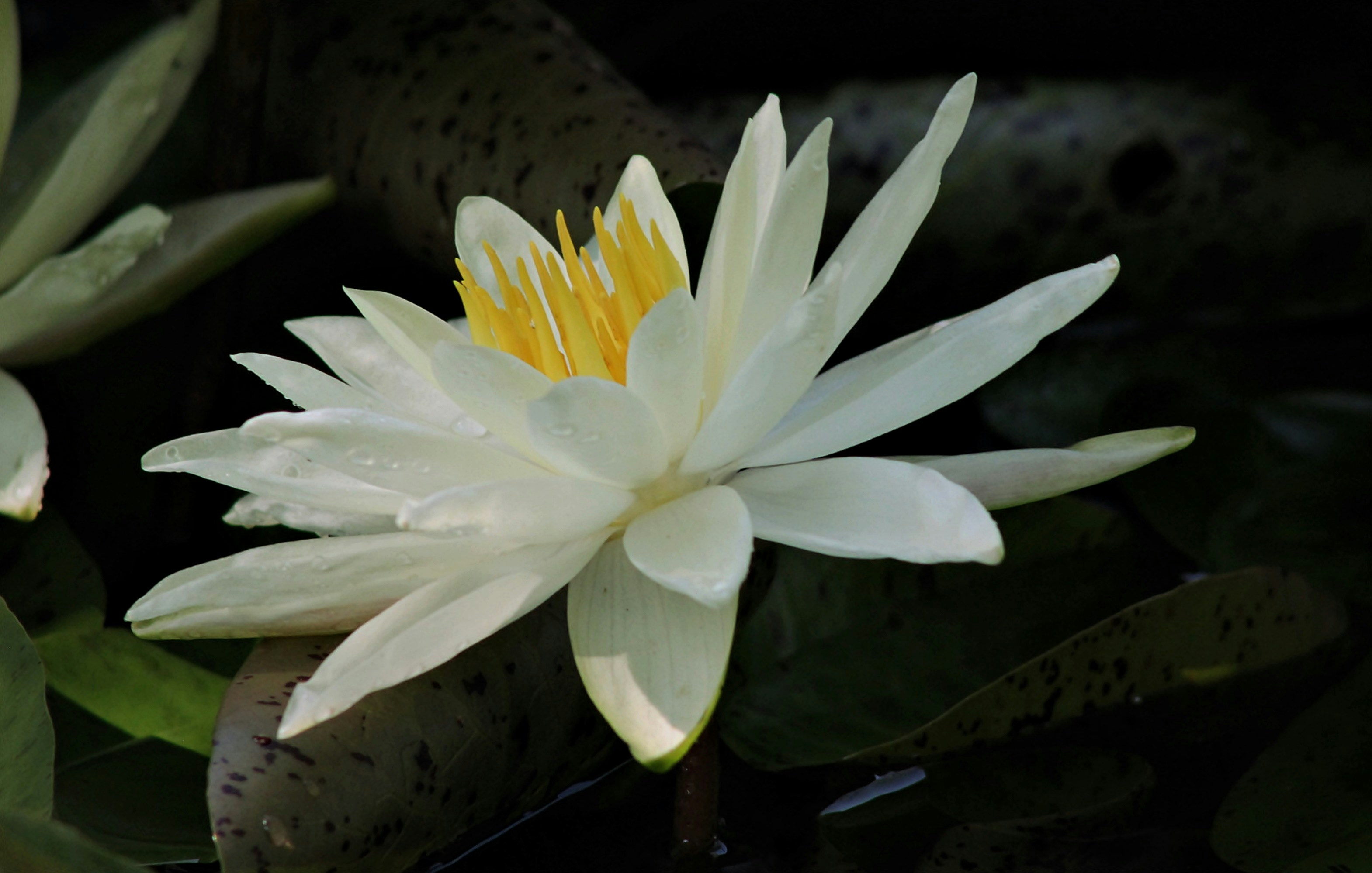 Photo by viewsofthecamera