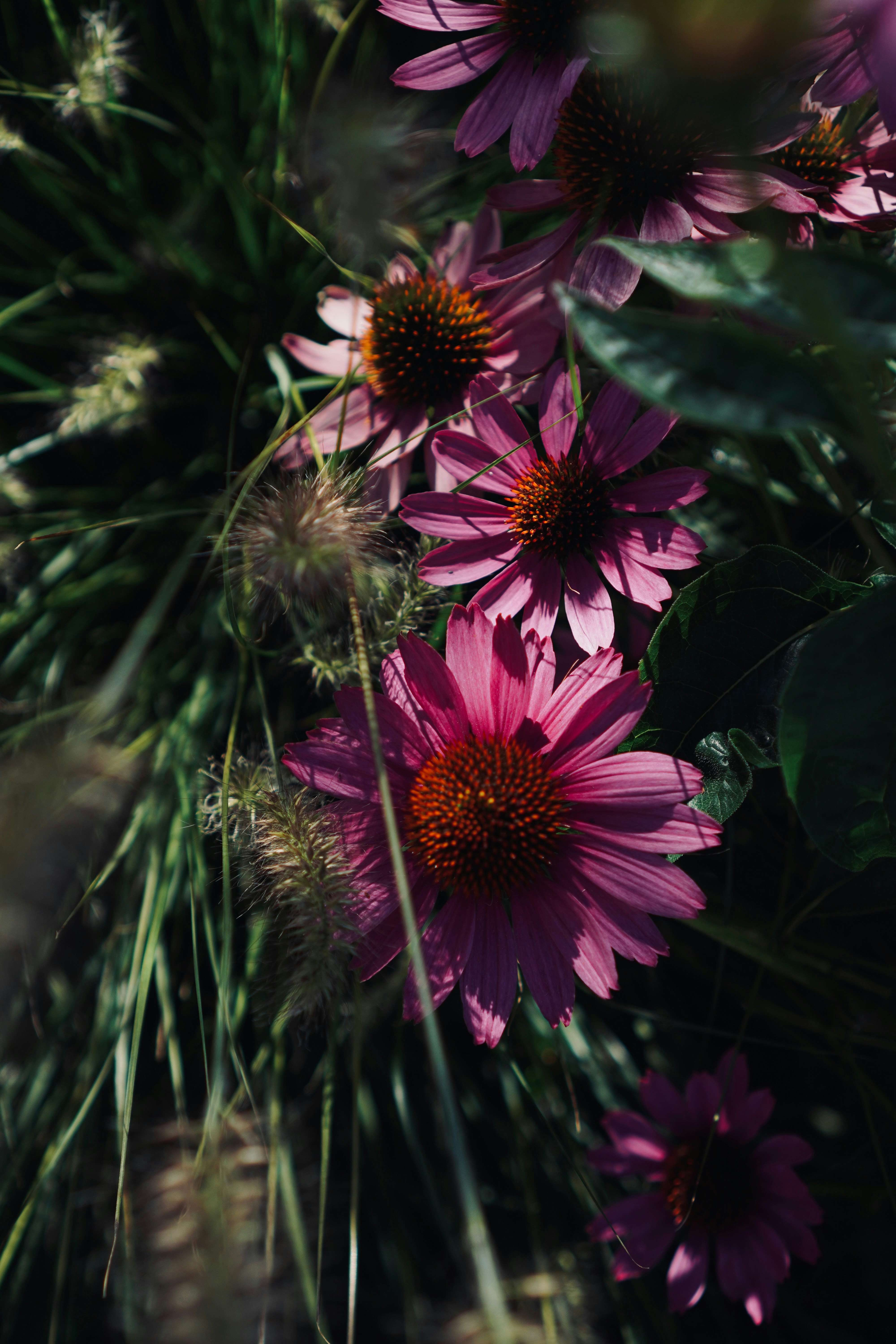 Photo by meinayin