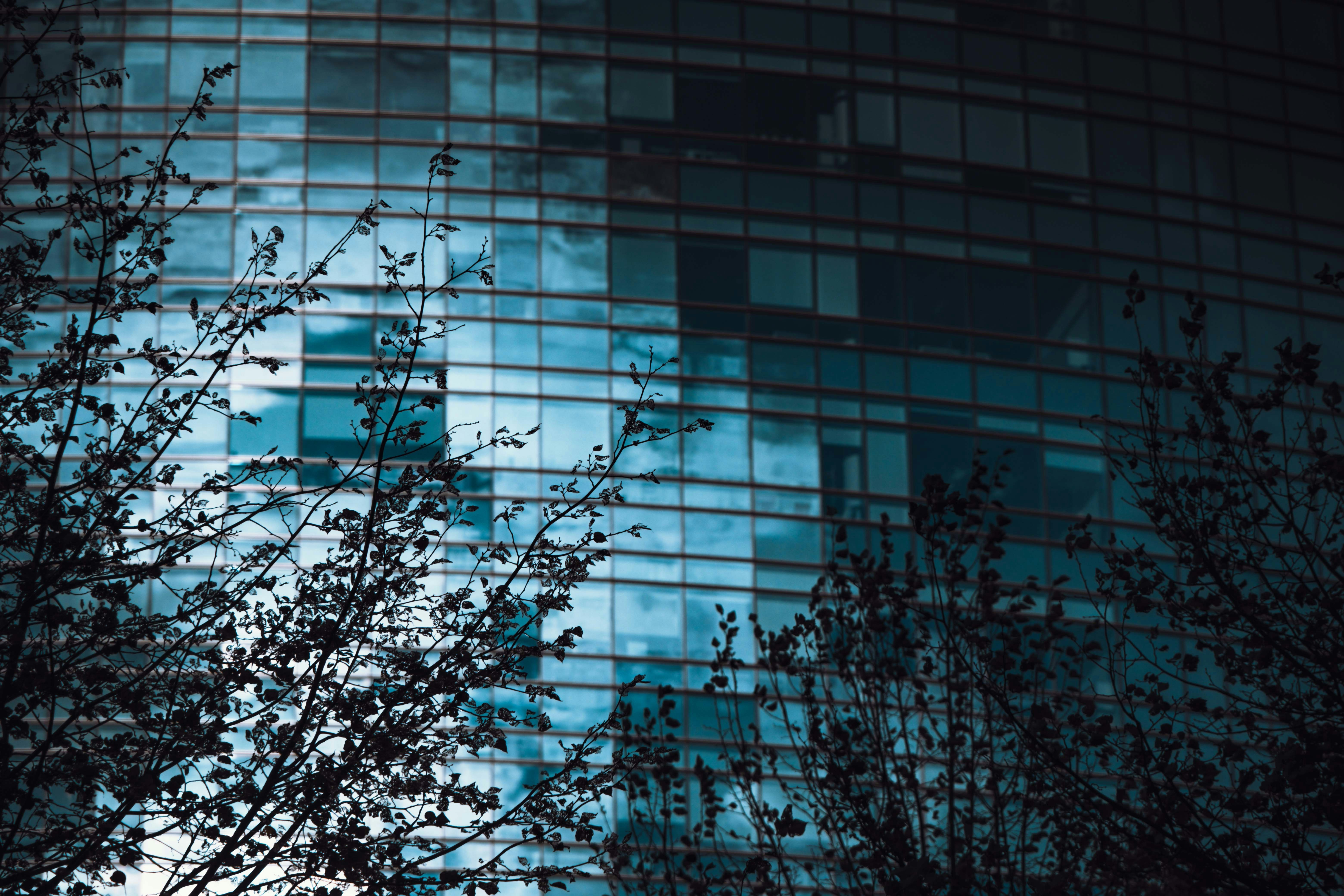 Photo by francesco_ungaro