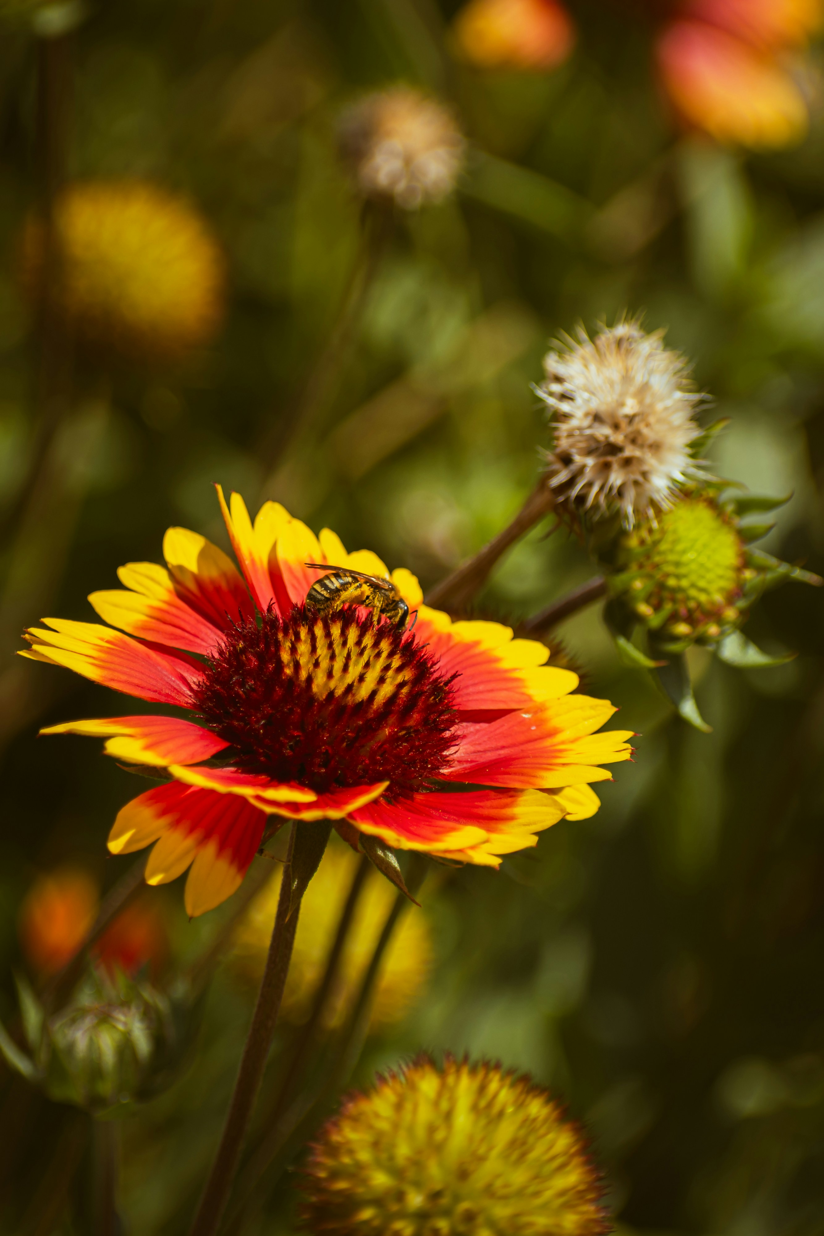 Photo by niki_emmert