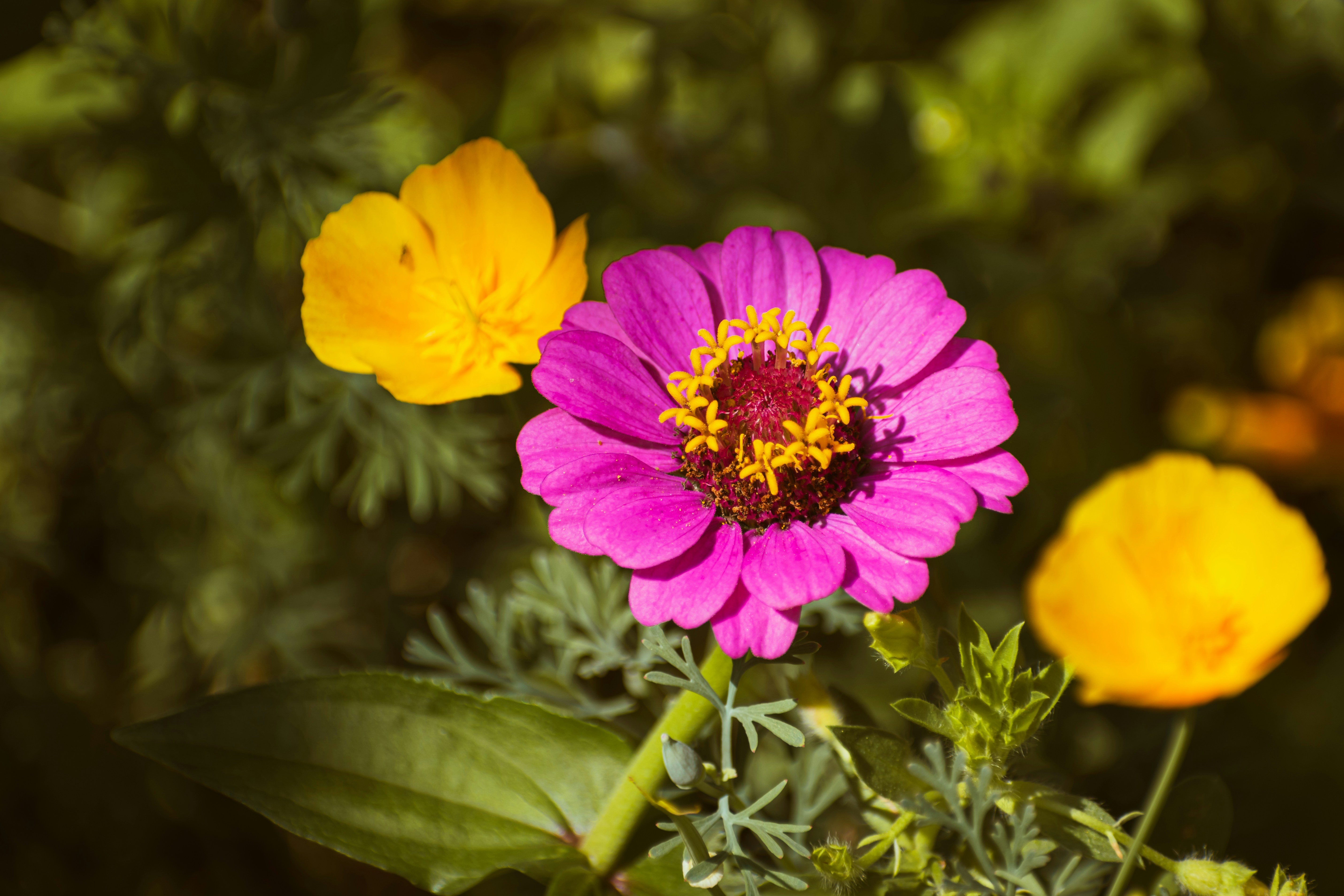 Photo by niki_emmert