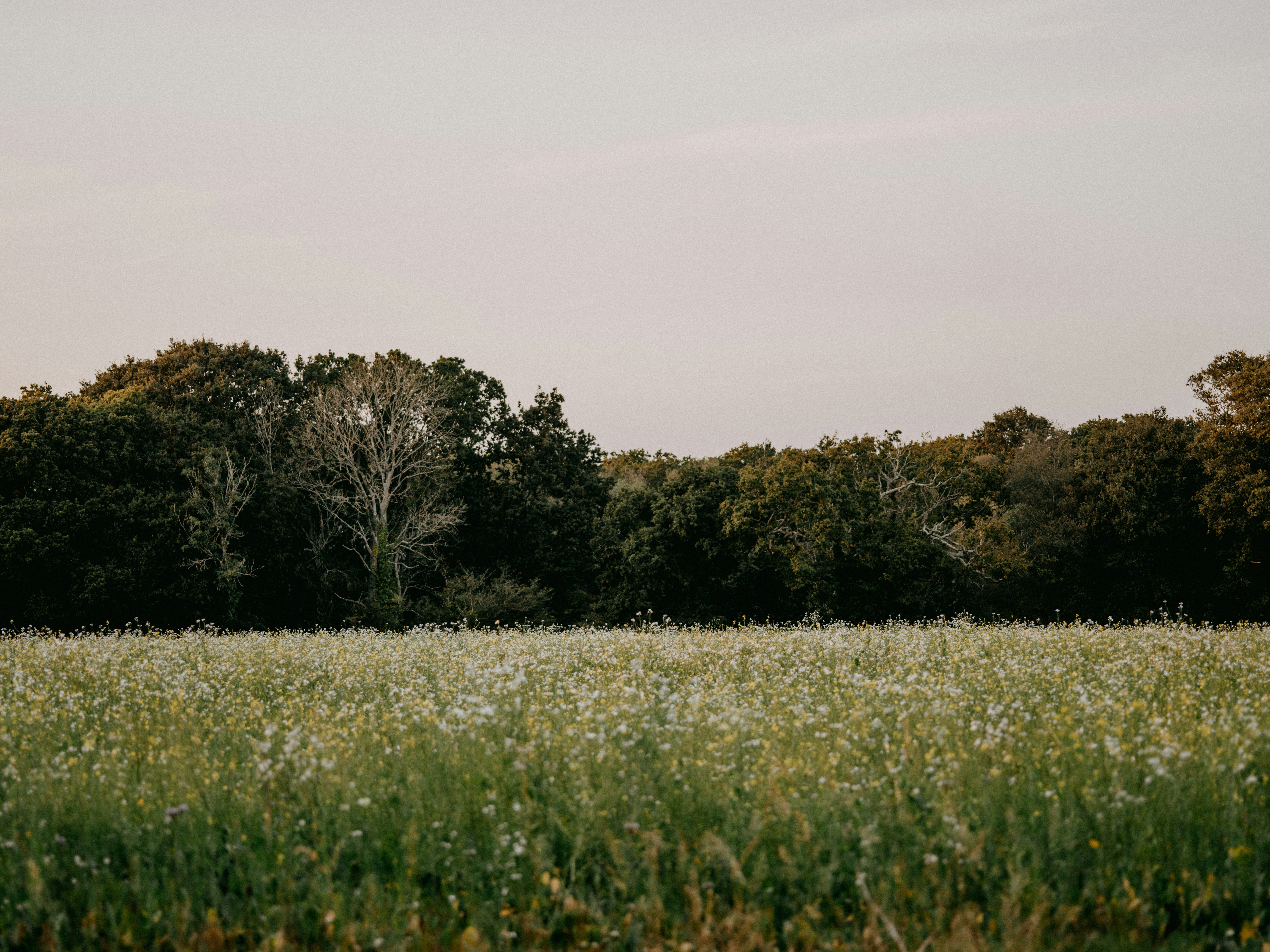 Photo by anniespratt