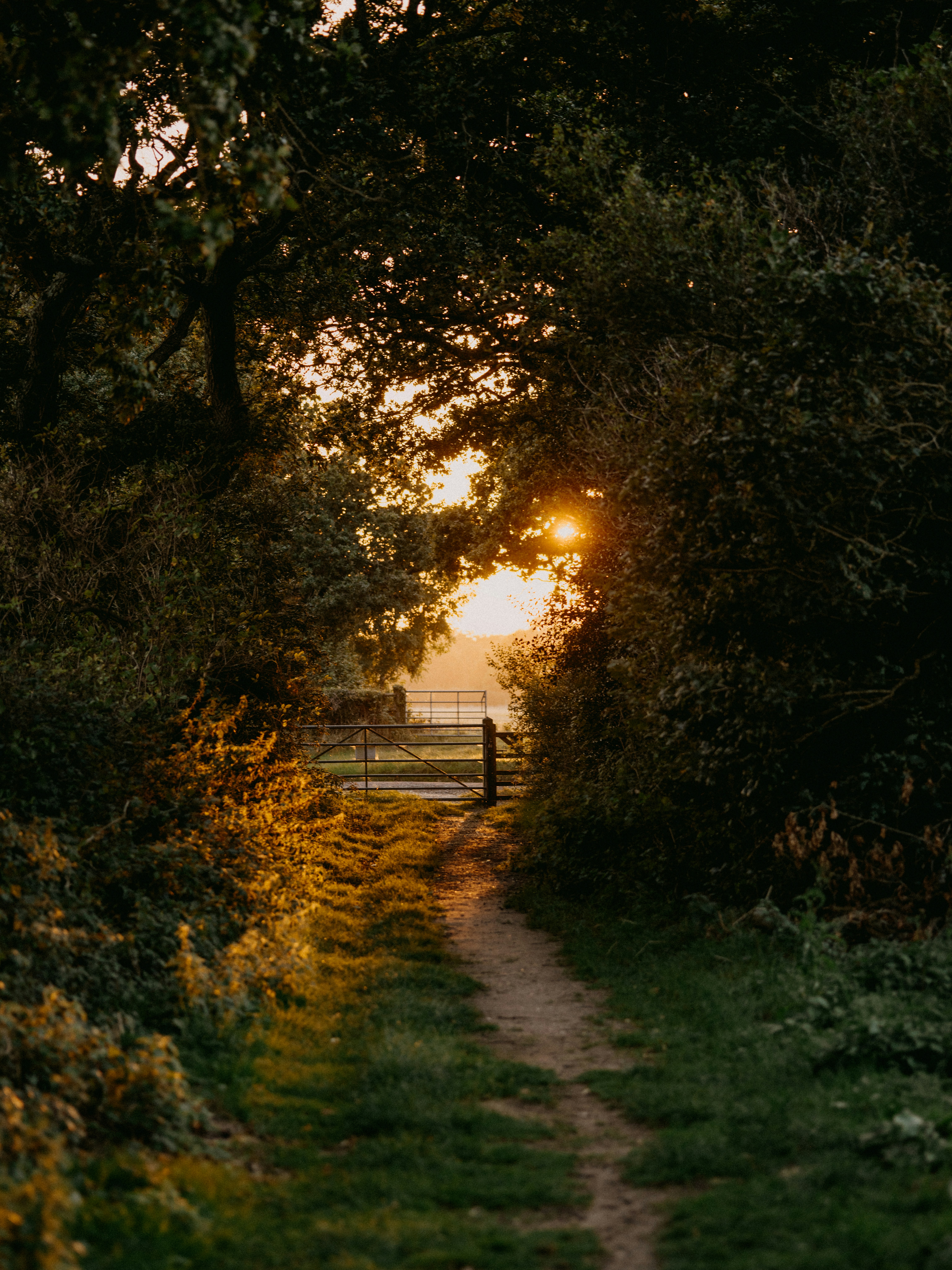 Photo by anniespratt