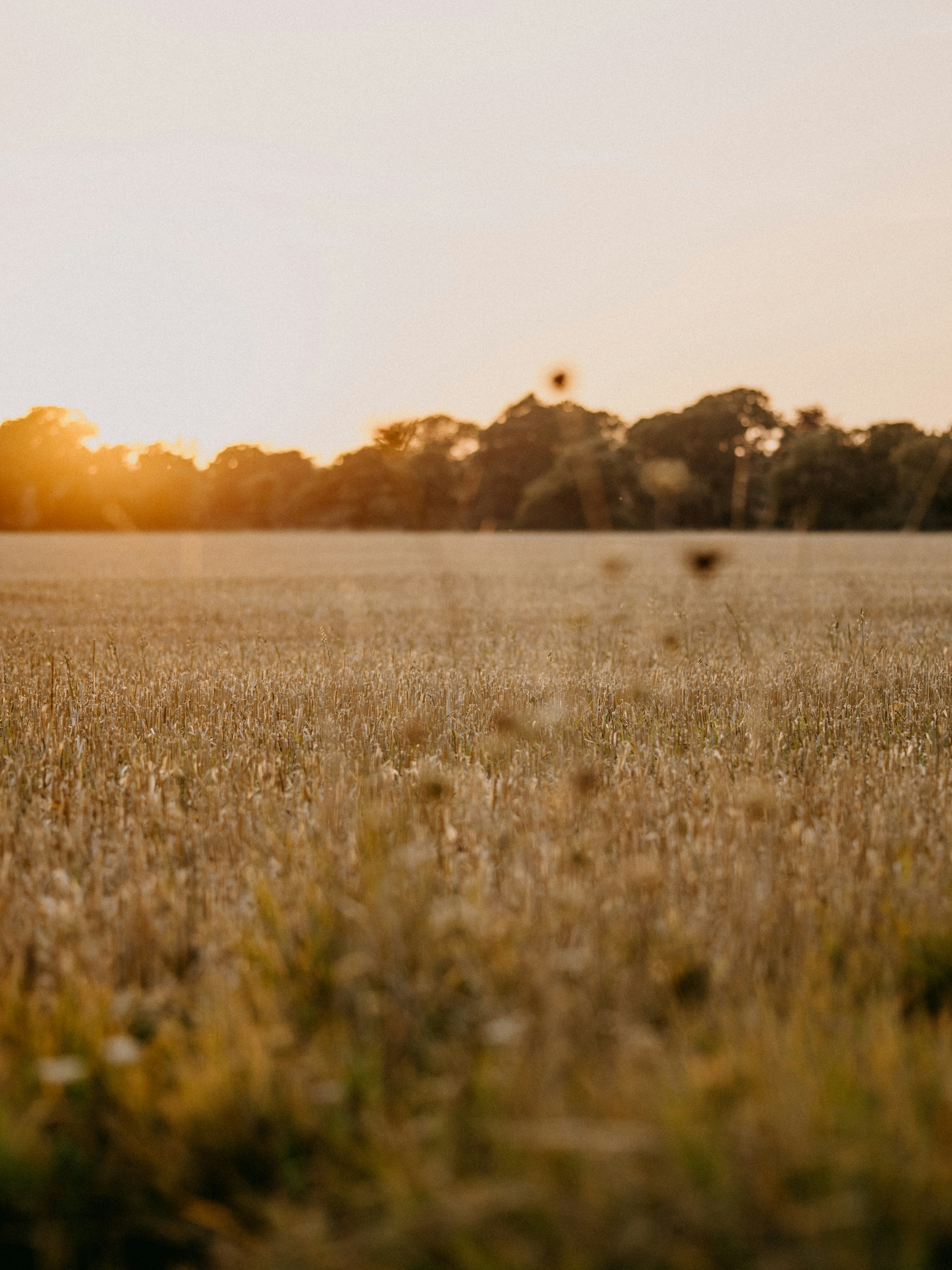 Photo by anniespratt